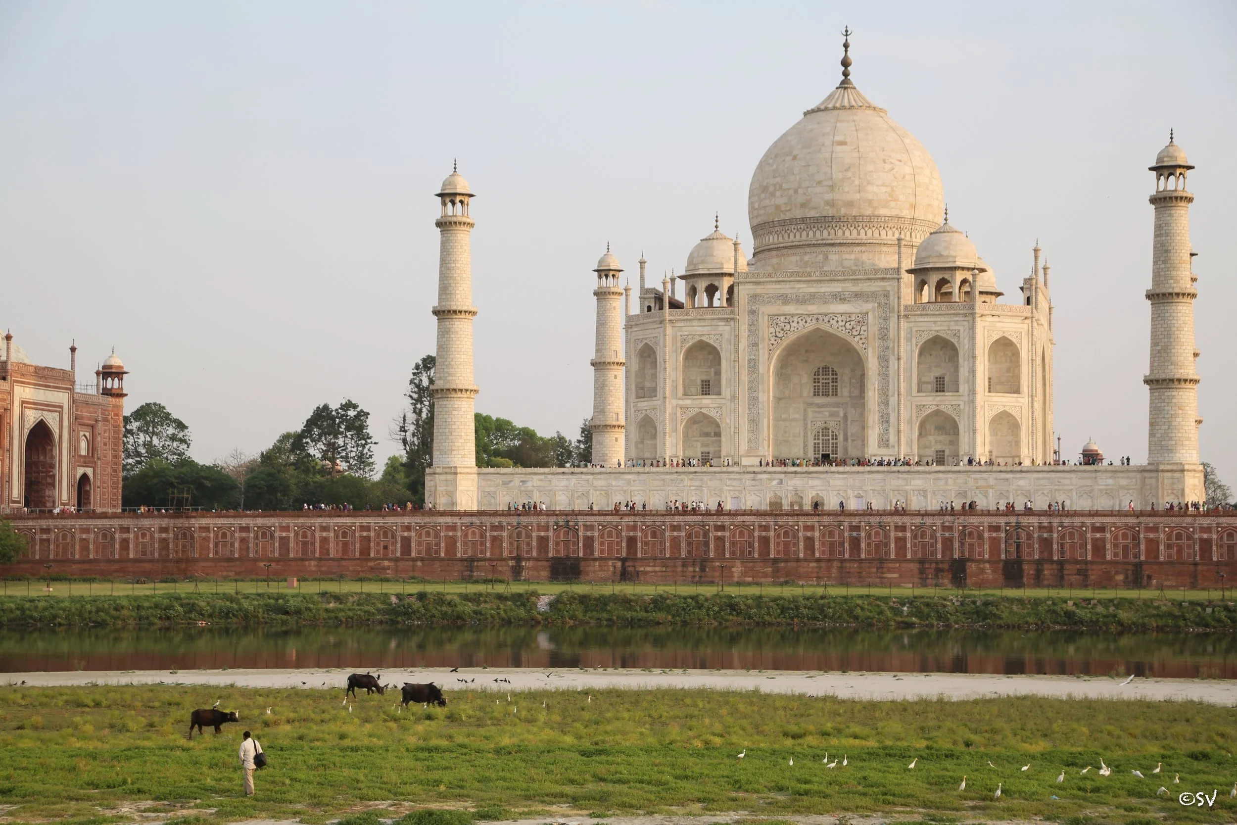 Taking the scenic route back home. (Agra, India)