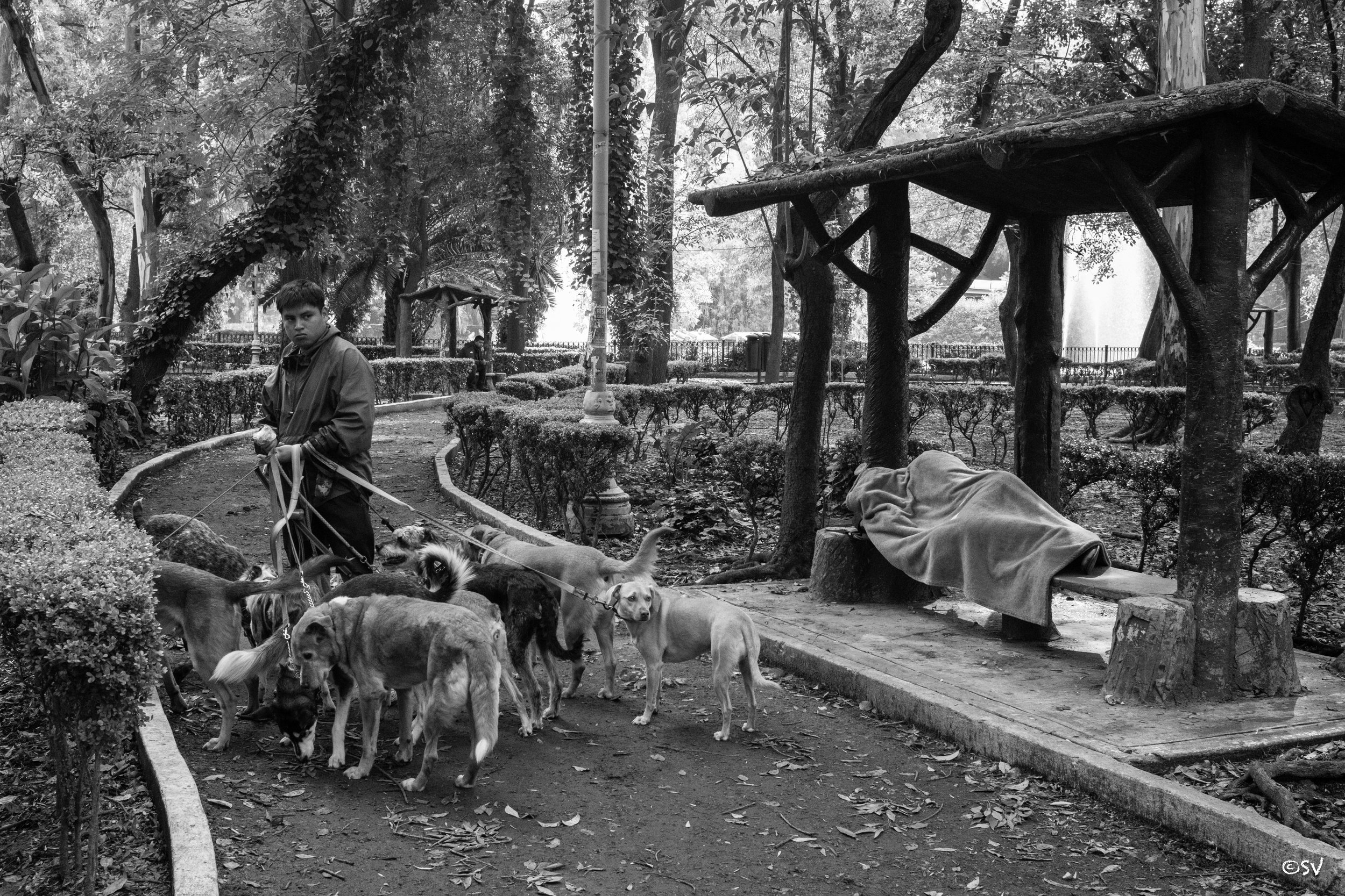 A city waking up. (Mexico City, Mexico)