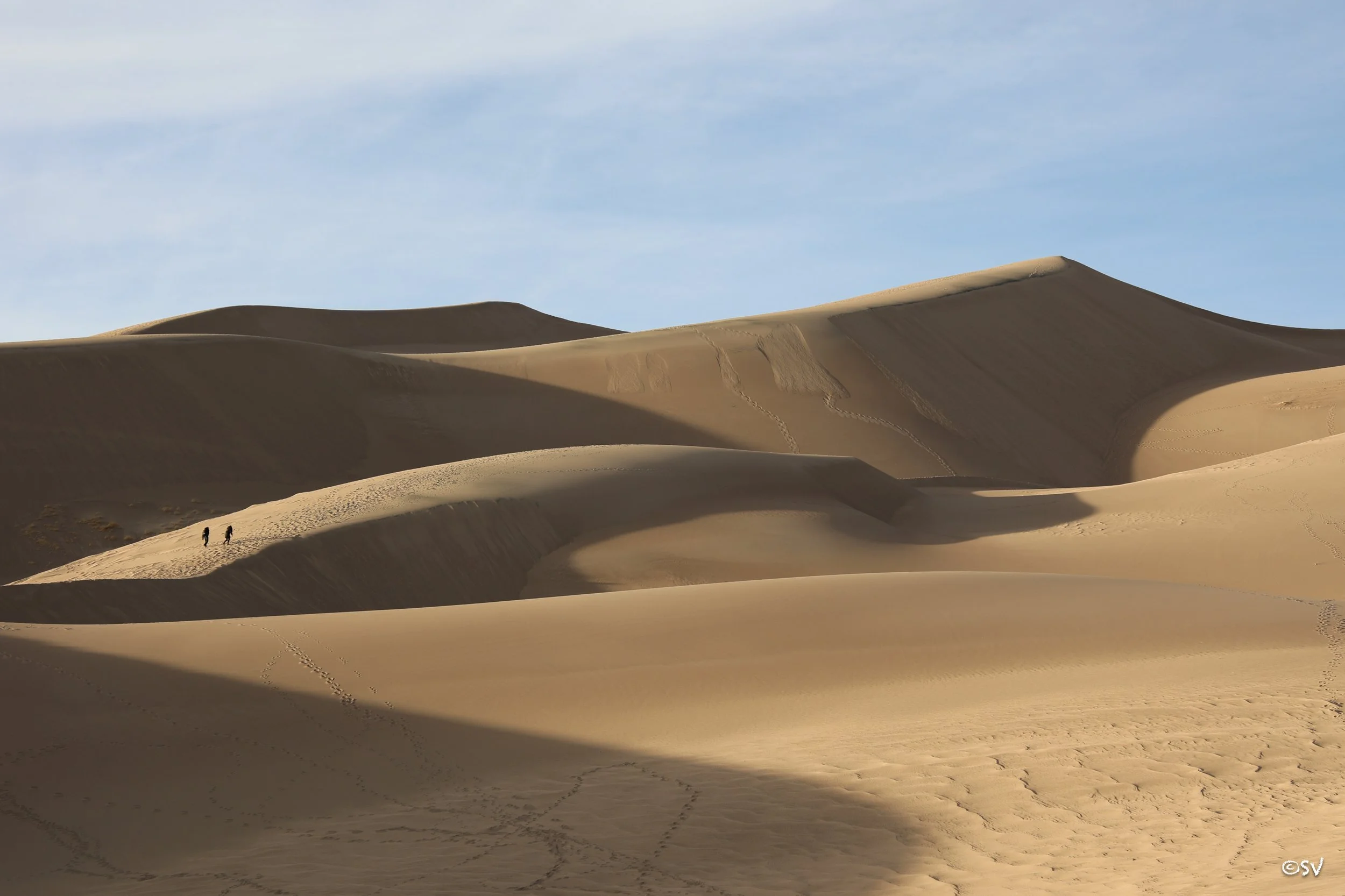 Going with the flow. (Great Sand Dunes, USA) 