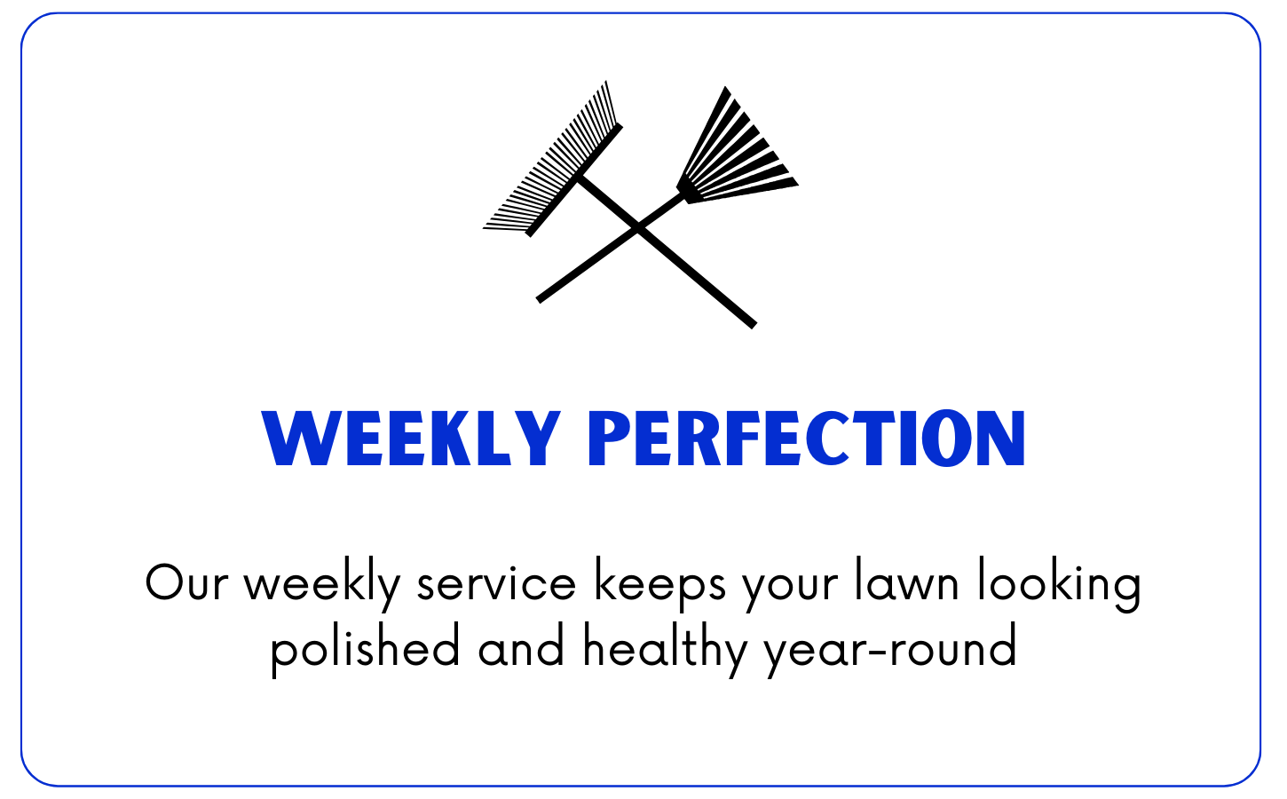 Text on black background reads "WEEKLY PERFECTION" in blue letters.
