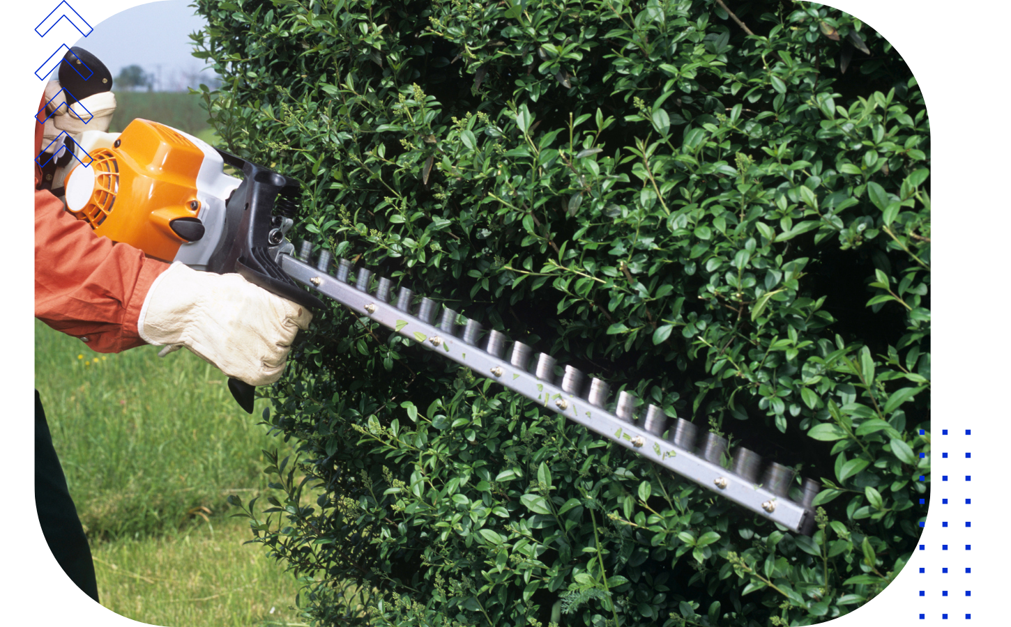 Person trimming a green hedge with a hedge trimmer outdoors.