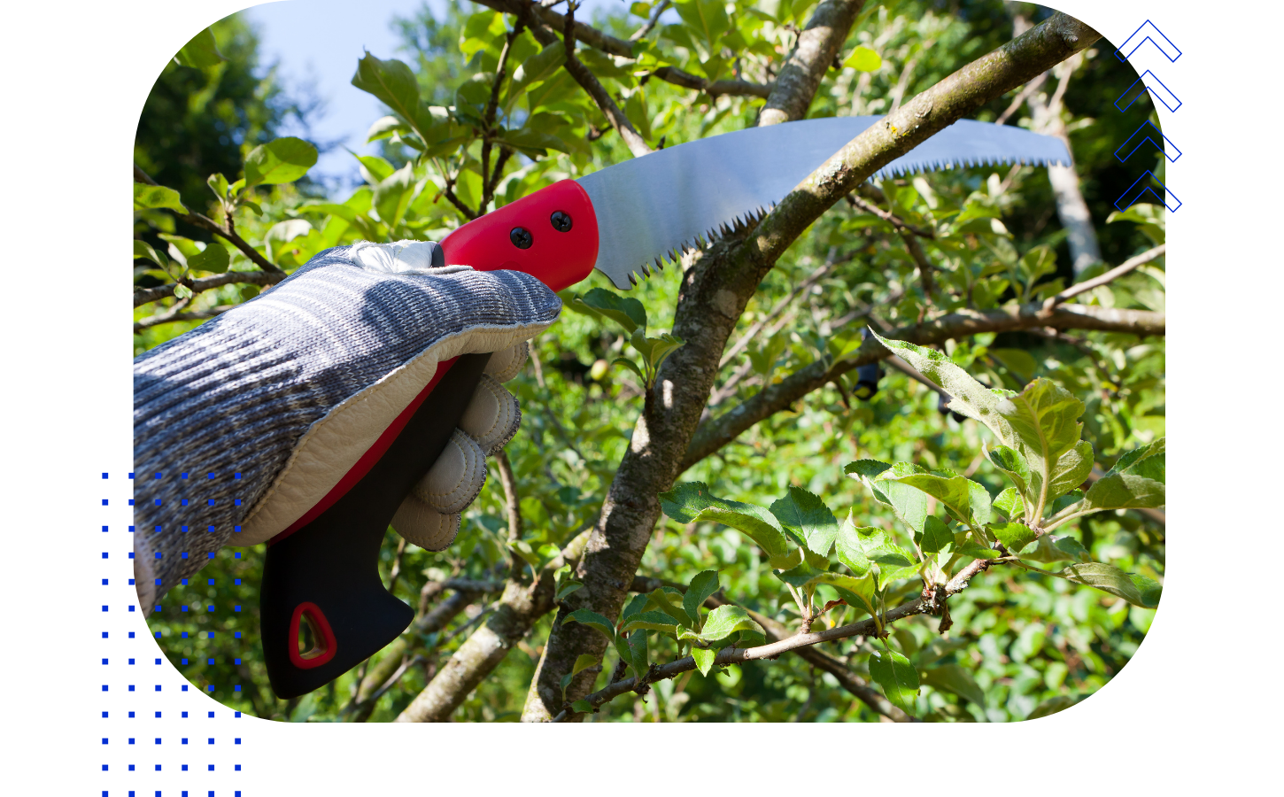 A person wearing a striped gardening glove is using a red-handled handsaw to prune a tree branch.