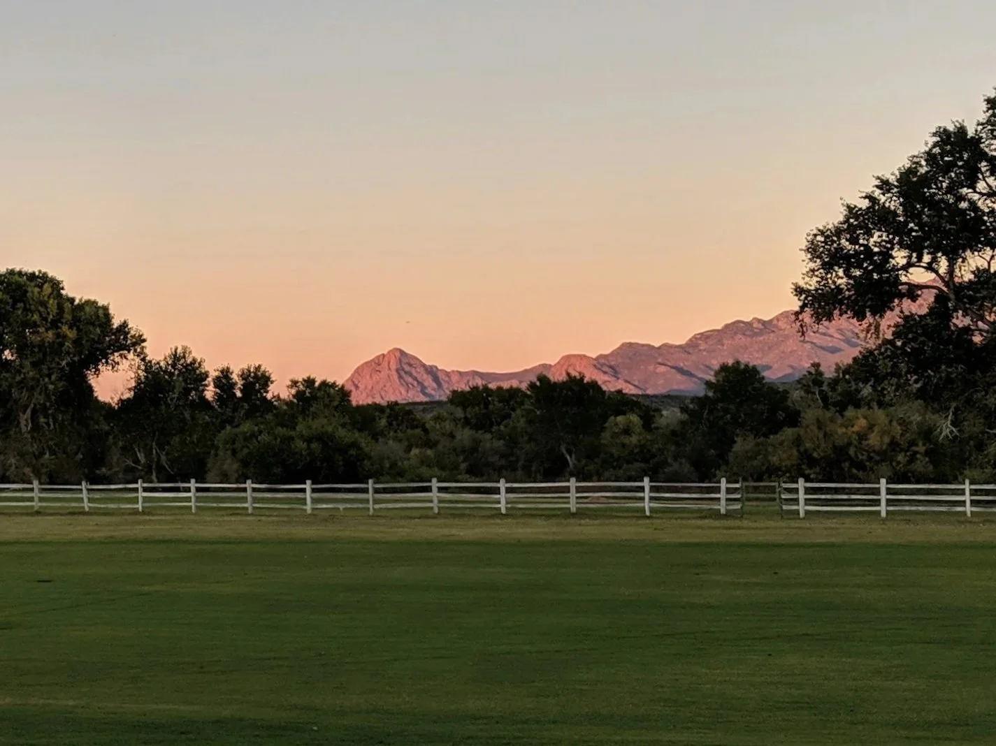 Weekly lawn mowing for Arcadia Phoenix homeowners
