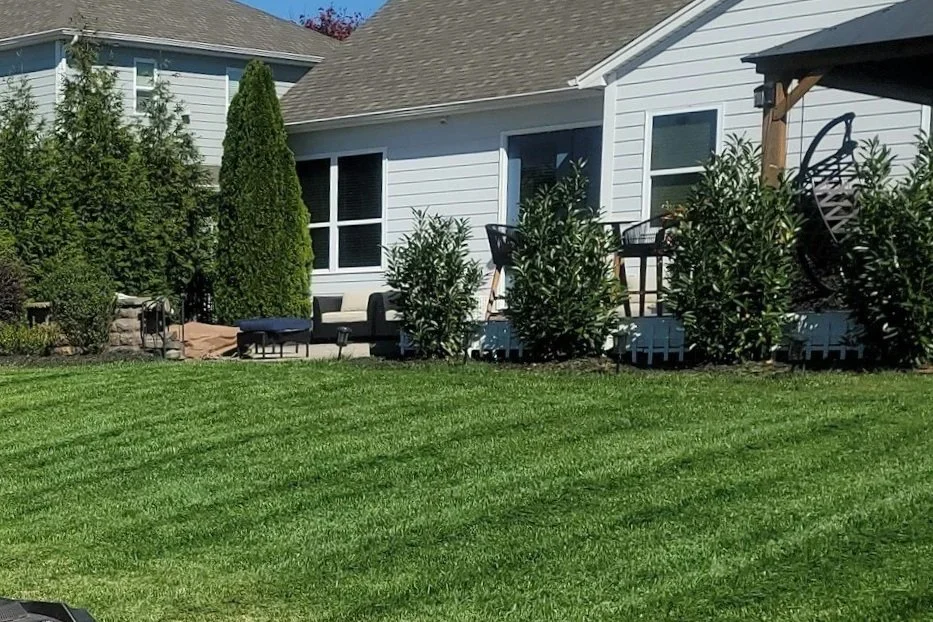 Freshly mowed backyard lawn in Phoenix Arizona