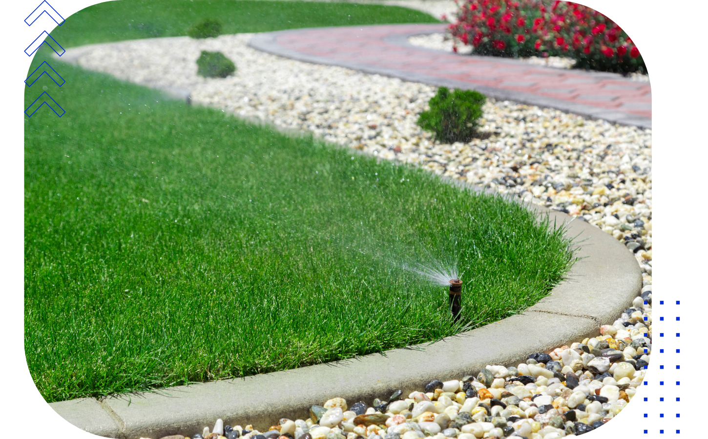 A sprinkler watering a lush green lawn along a paved walkway with small rocks and a garden bed with red flowers.