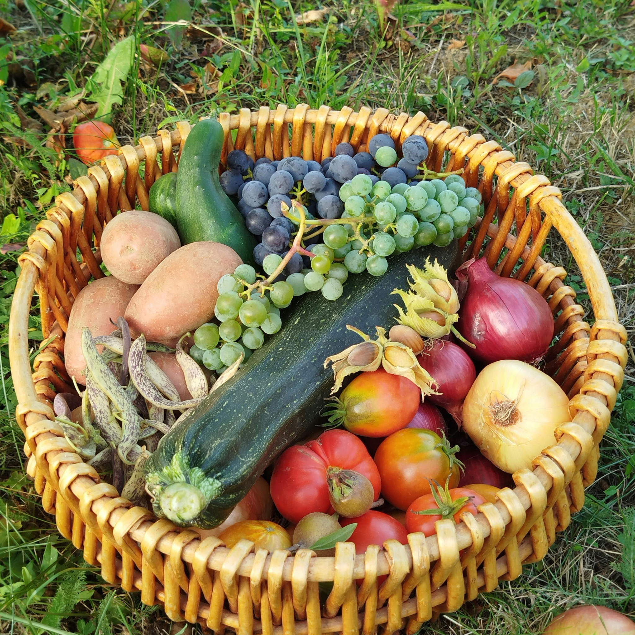 Farm Share CSA (Community Supported Agriculture)
