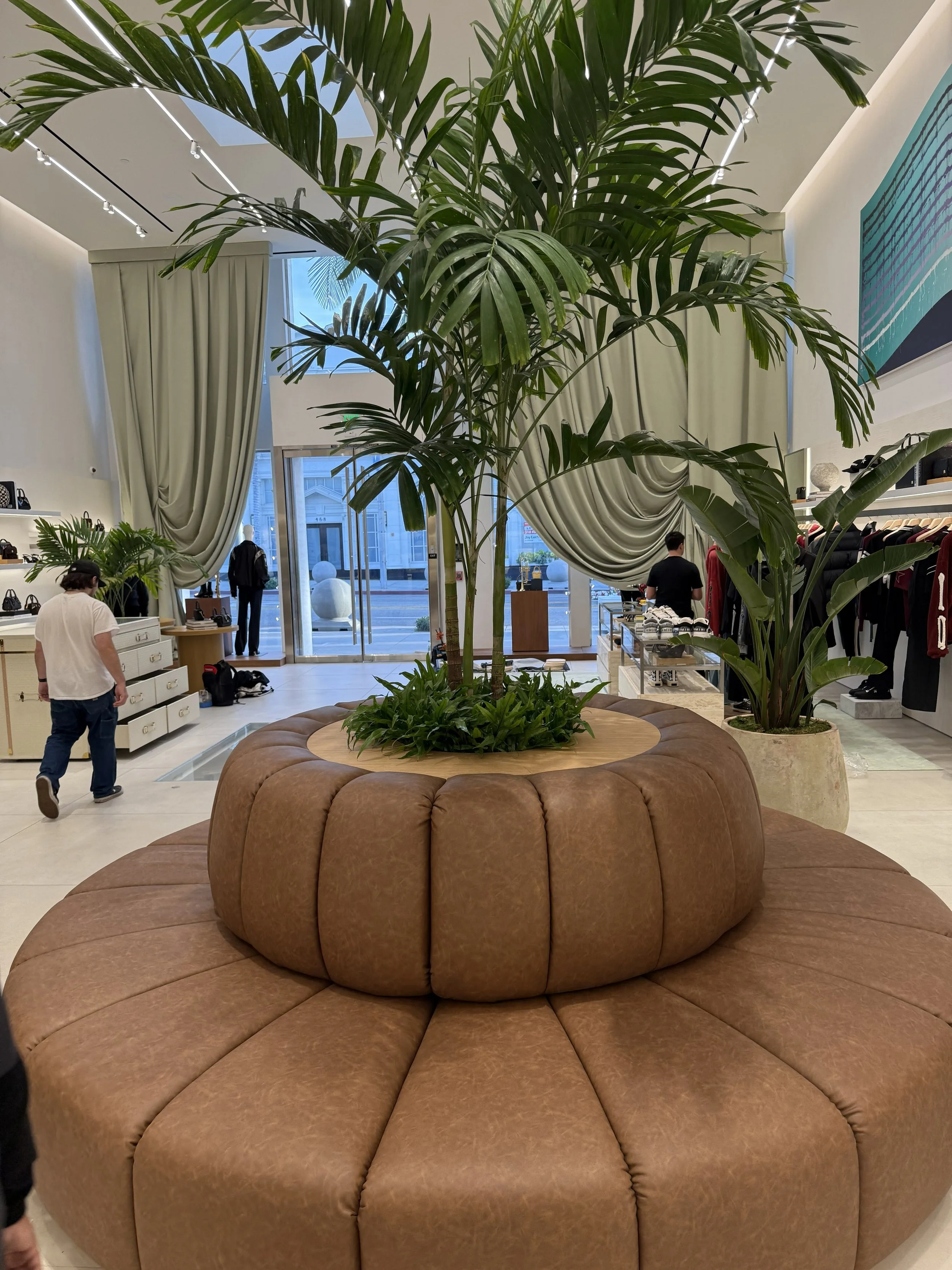 A large, circular, brown leather seating area surrounding a tall potted plant with broad green leaves inside a retail store.
