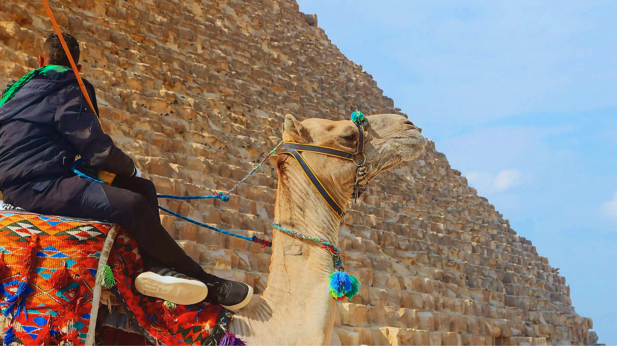 Camel and rider by the Great Pyramid, Giza, Egypt - Shot on Canon EOS Rebel t6i