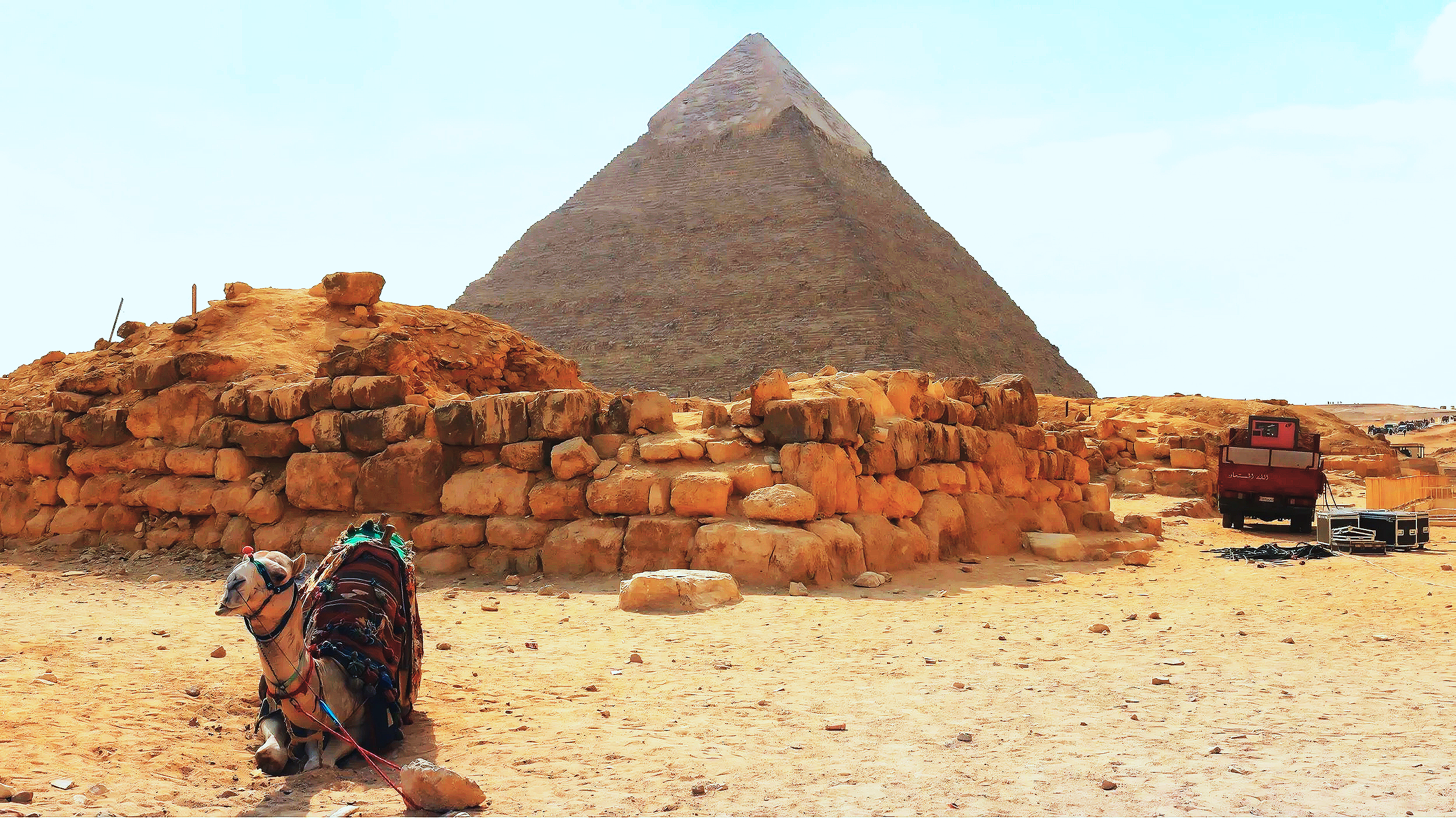 Camel resting by the Pyramids of Giza, Egypt - Shot on Canon EOS Rebel t6i