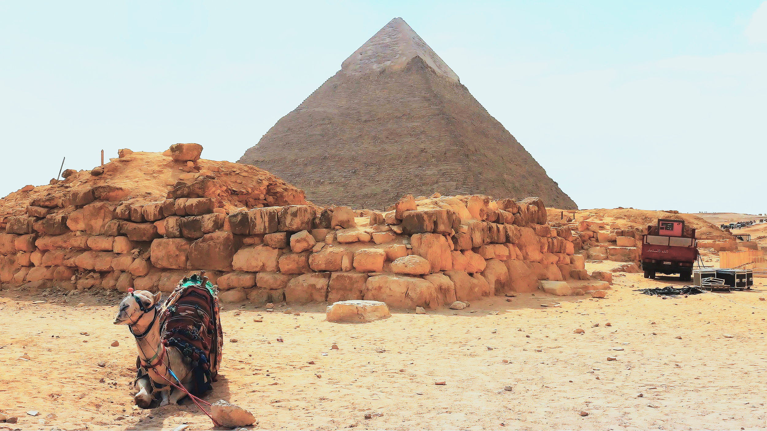 Camel resting by the Pyramids of Giza, Egypt - Shot on Canon EOS Rebel t6i