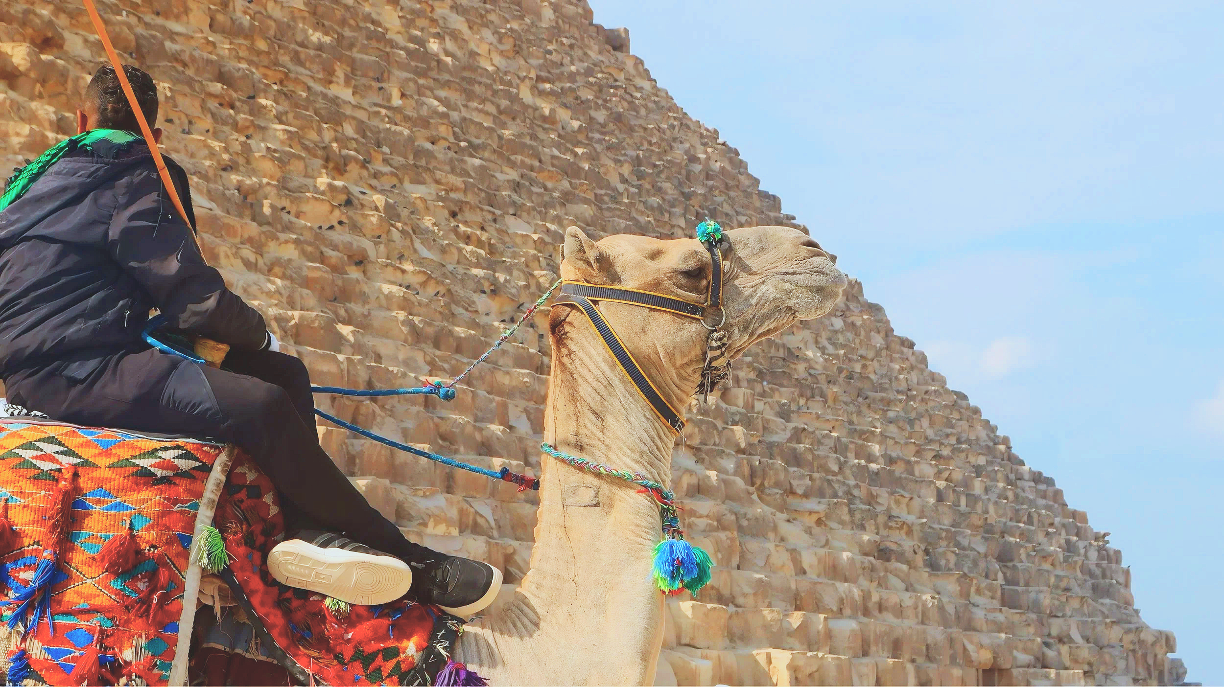 Camel and rider by the Great Pyramid, Giza, Egypt - Shot on Canon EOS Rebel t6i