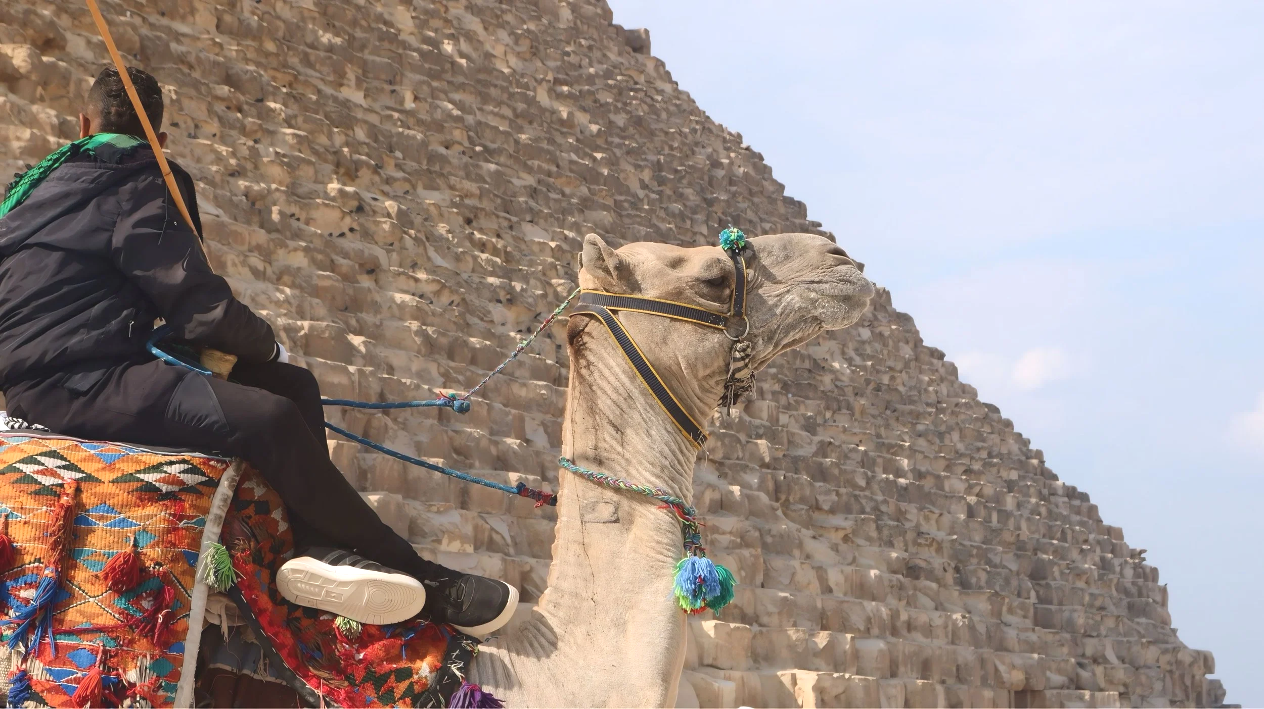 Camel and Rider, Giza Egypt