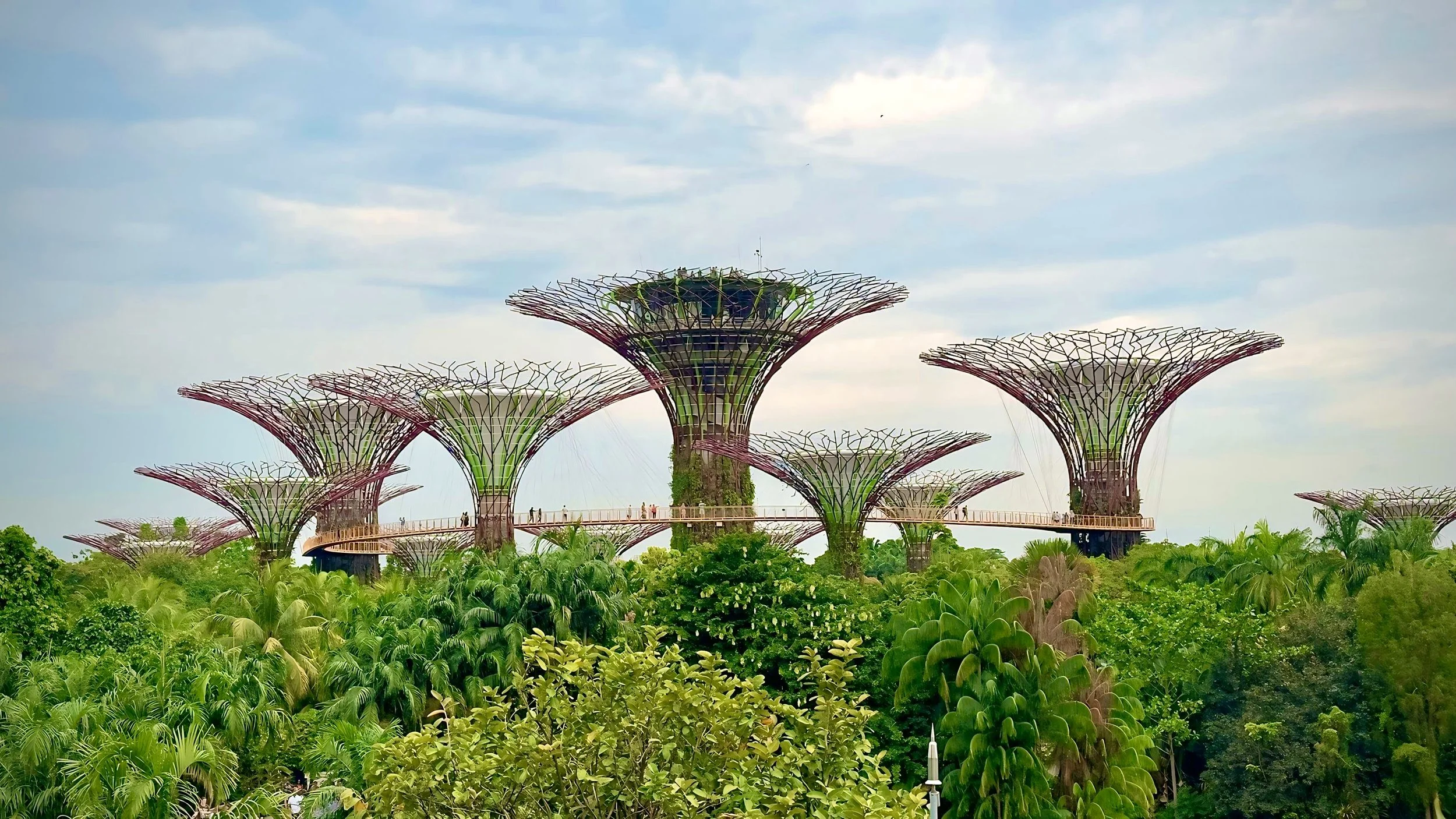 Gardens by the Bay, Singapore - Shot on Canon EOS Rebel t6i