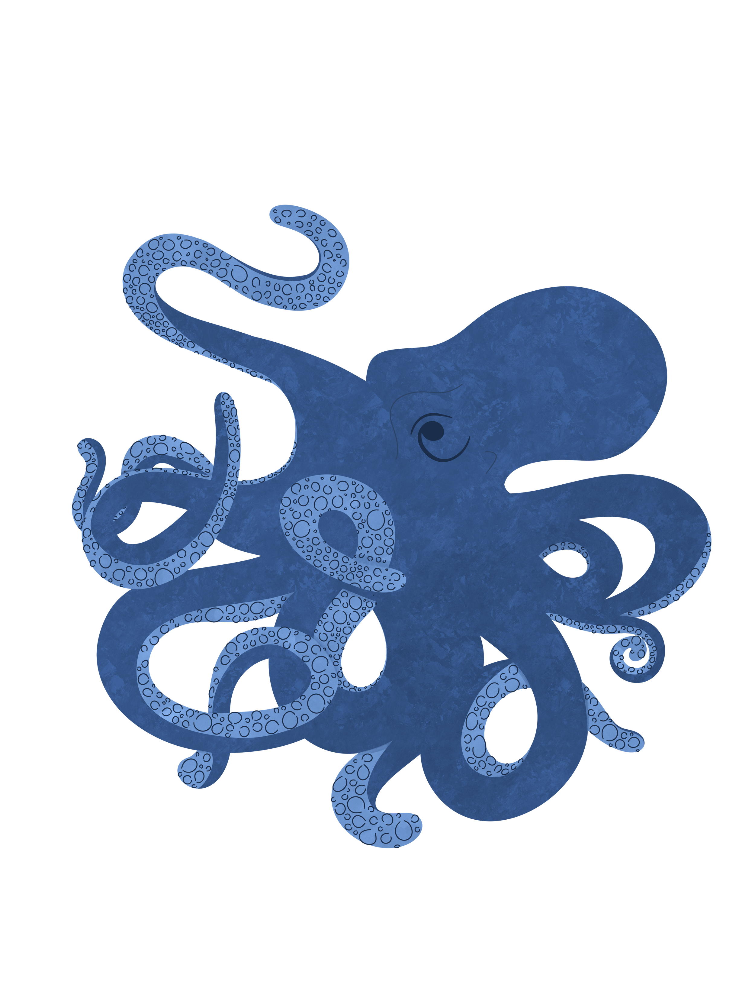 Octopus 2.png