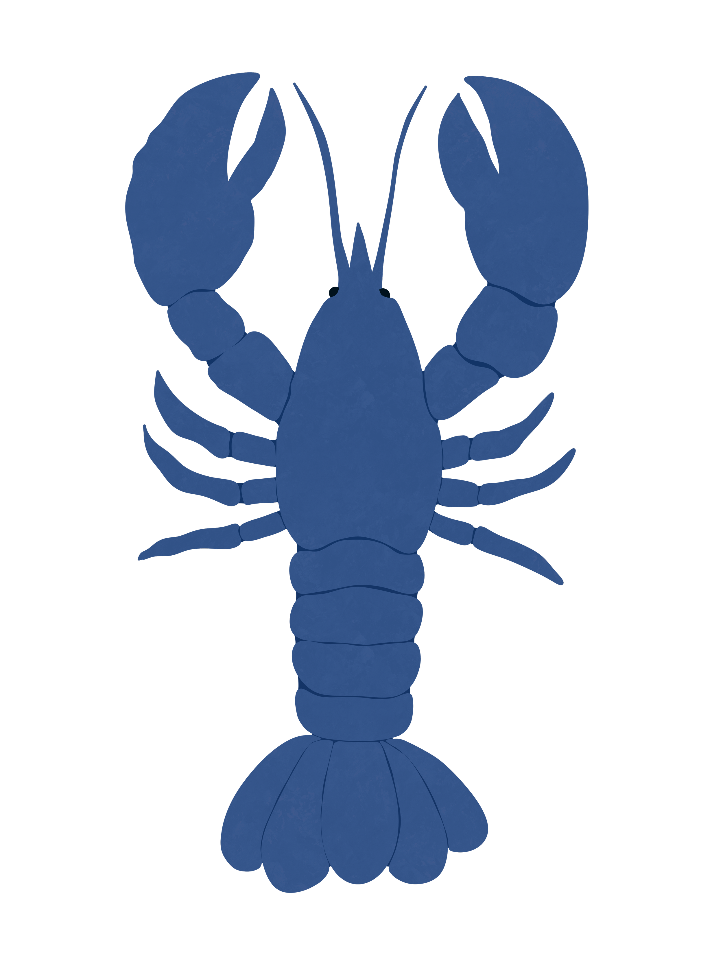 Blue lobster.png