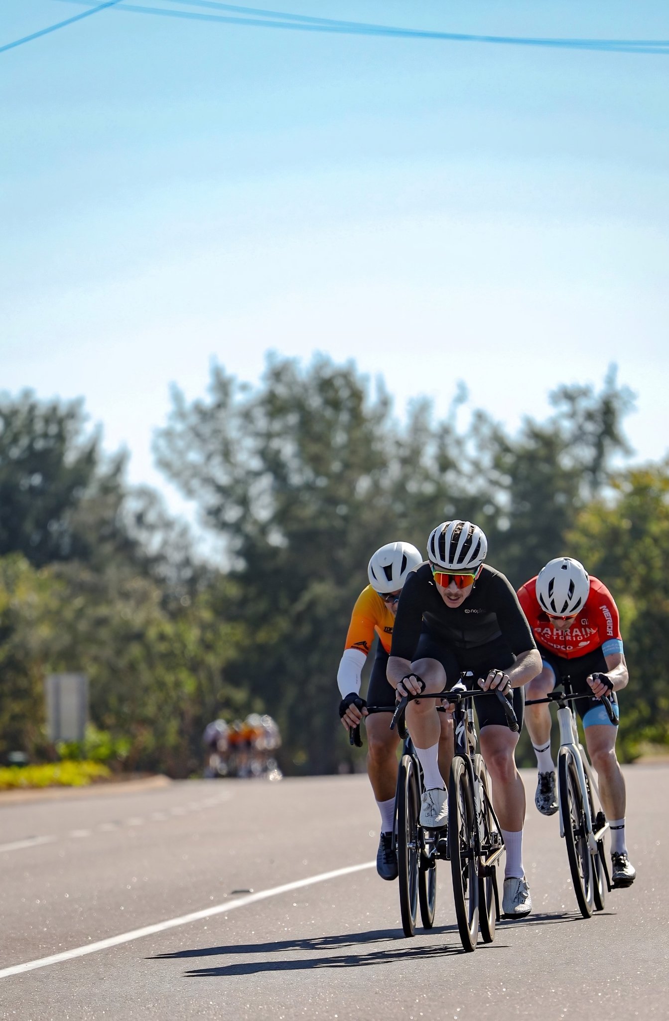 Three cyclists racing on a paved road with trees in the background.