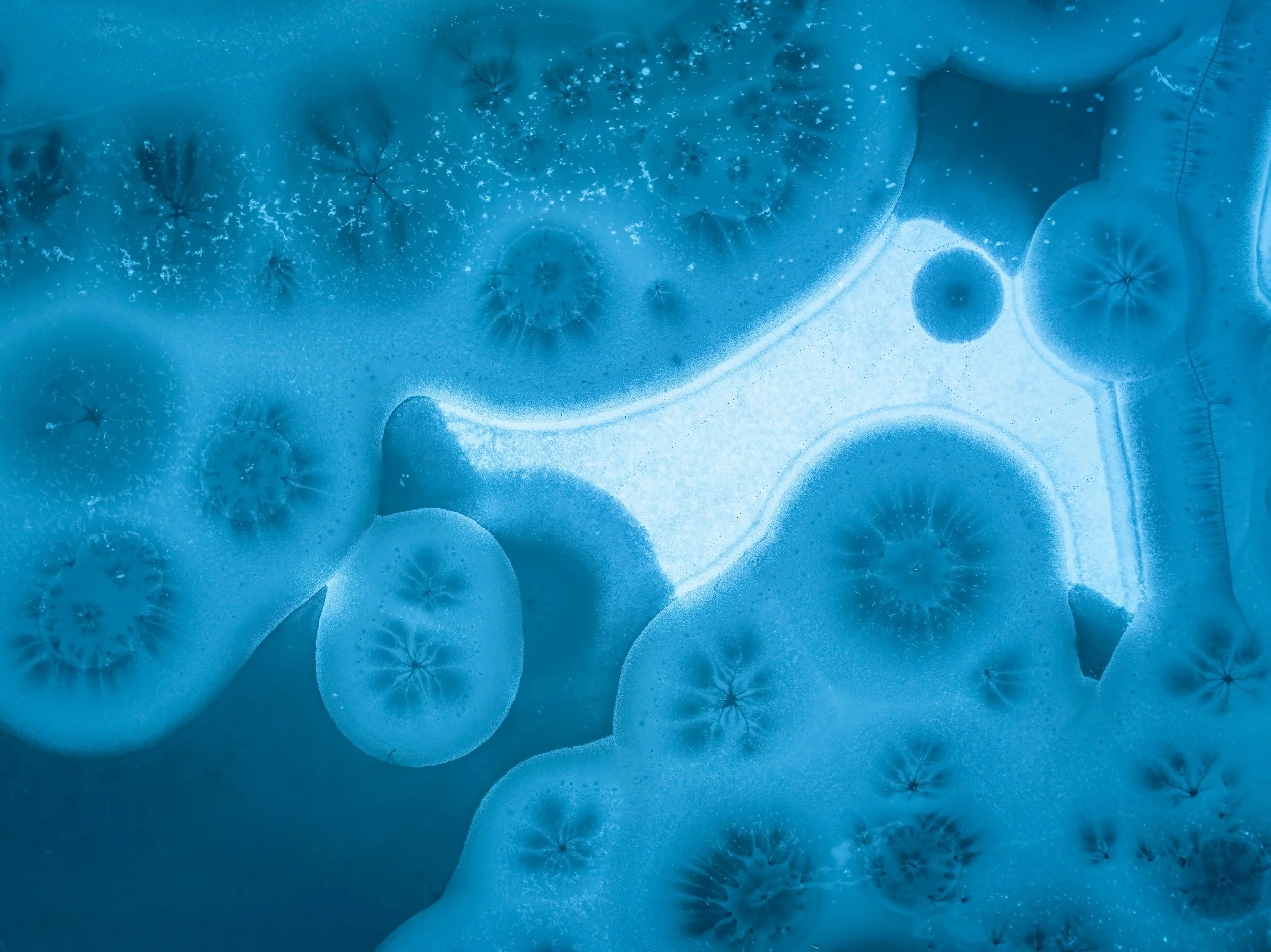 What is the Vaginal Microbiome? And Why It Matters More Than You Think..