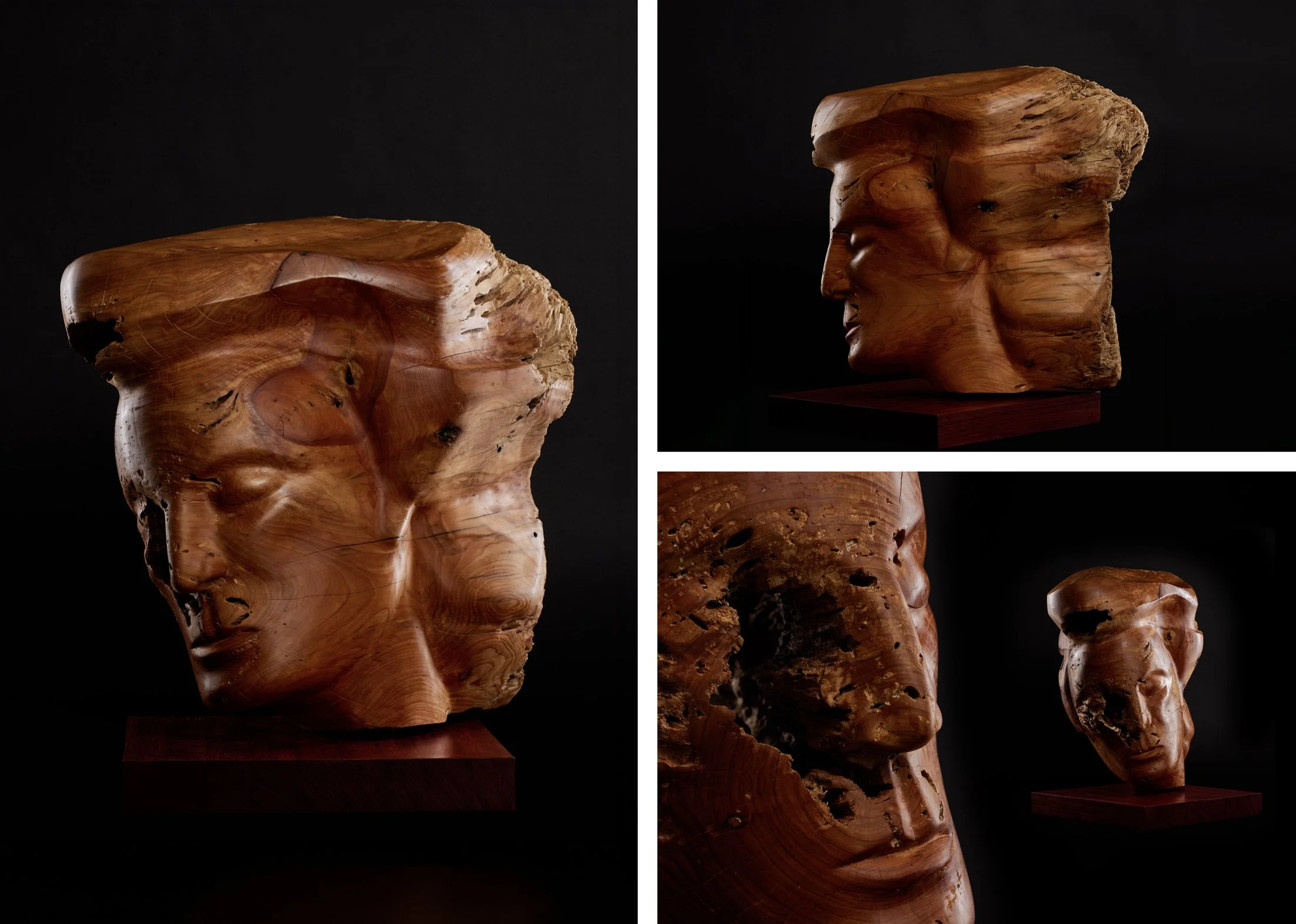 Eroded Remnant | Dimensions (mm) 600L x 700H x 500W | Takapuna Driftwood  – Beeswax Finish