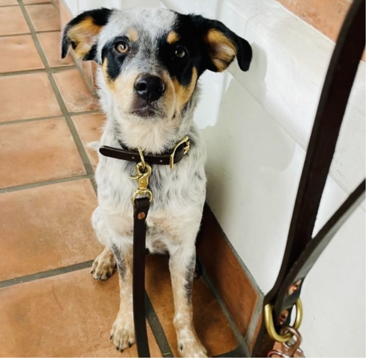 View recent photos 28.png