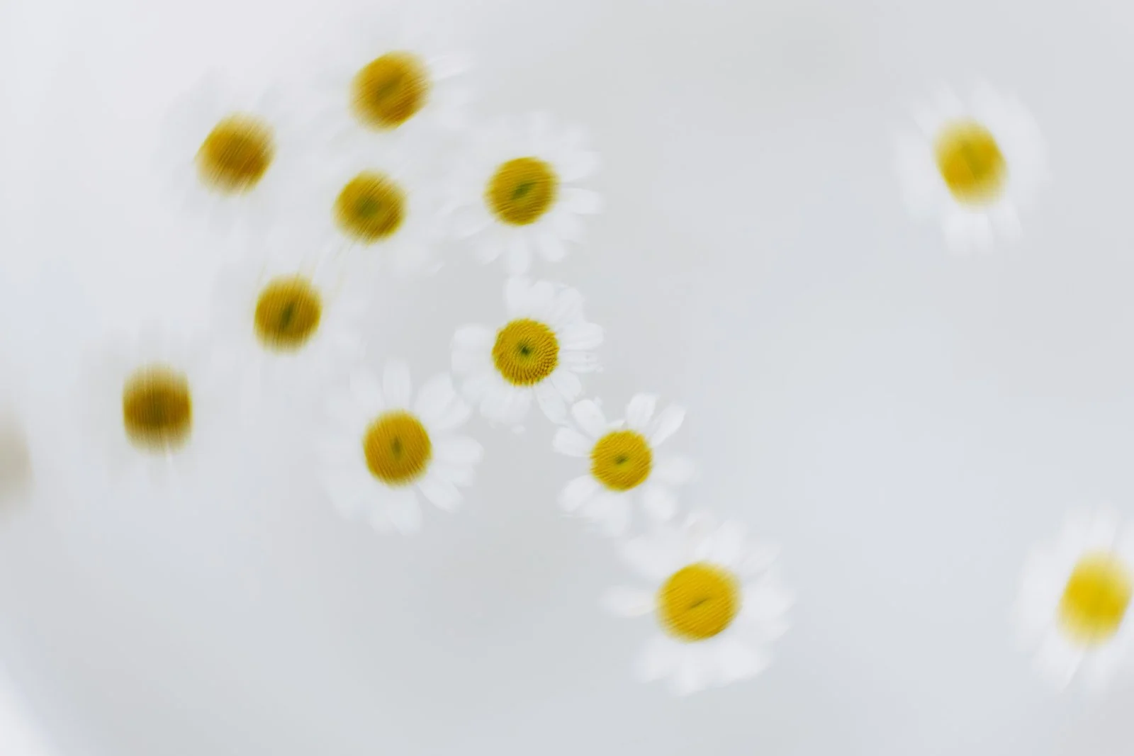 daises in blurred motion, to mimic the effect of a singing bowl