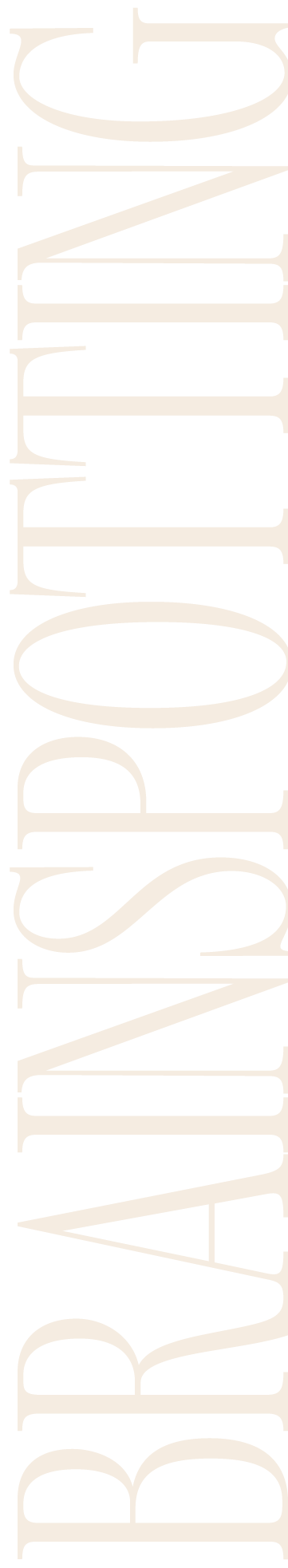 text that reads "brainspotting" to describe the title of this page, aligned vertically for style and effect