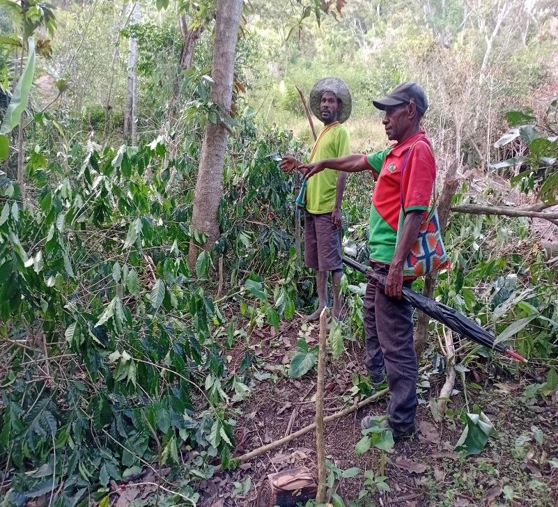 Two men standing in a dense, green forest, one with a large umbrella and the other with a backpack, surrounded by foliage.