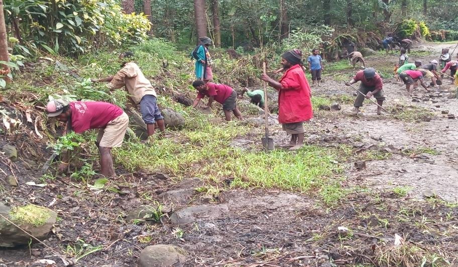 People planting young plants outdoors in a forested area, some using shovels and others planting by hand.