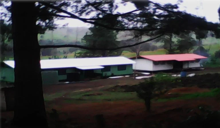 A rural scene with two small agricultural buildings, one with a white roof and the other with a red roof, surrounded by trees and open land, under overcast skies.