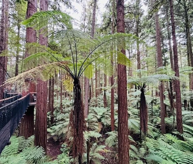 The Global Legacy Edition