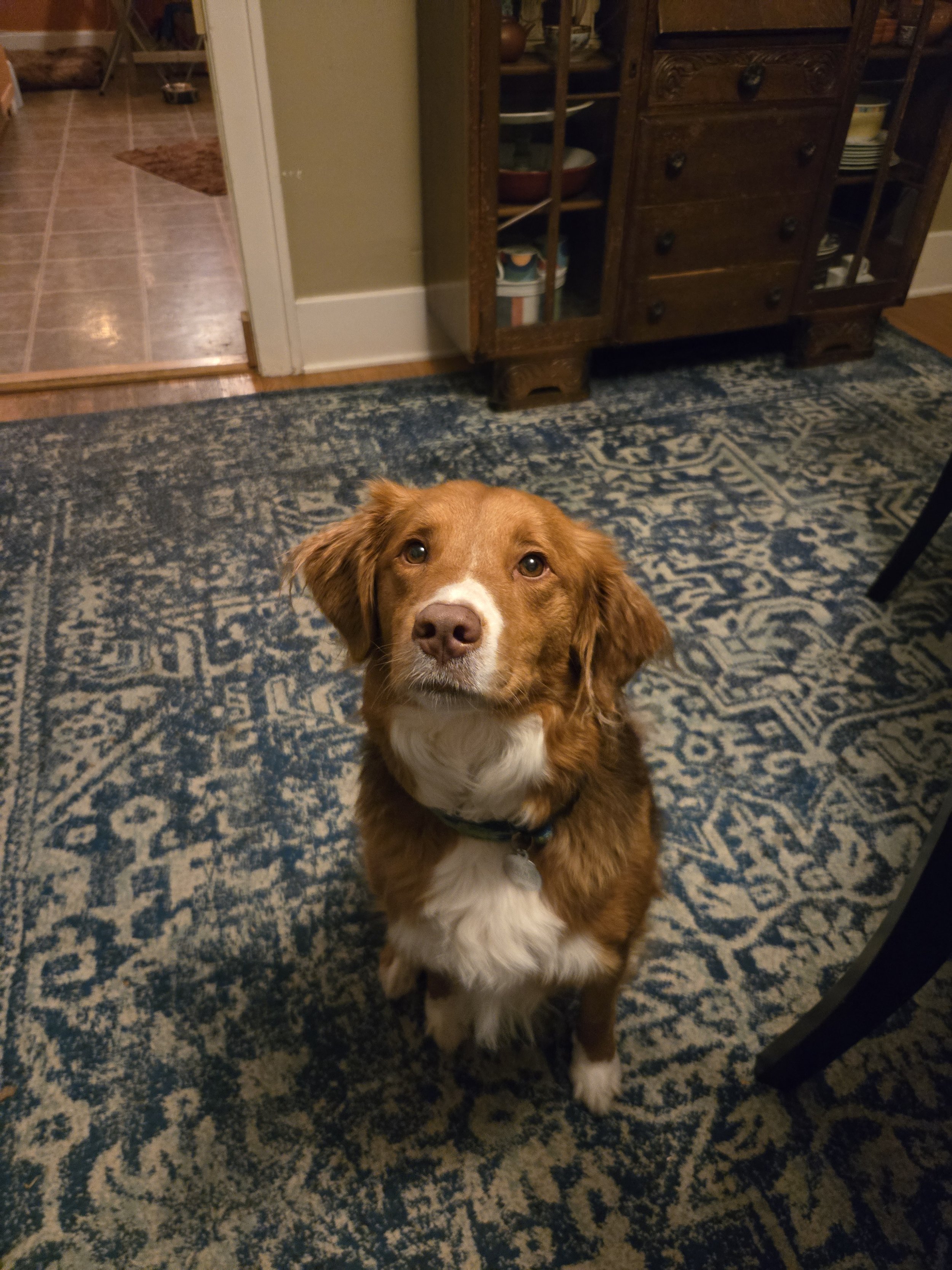 Hallie smiles for the camera