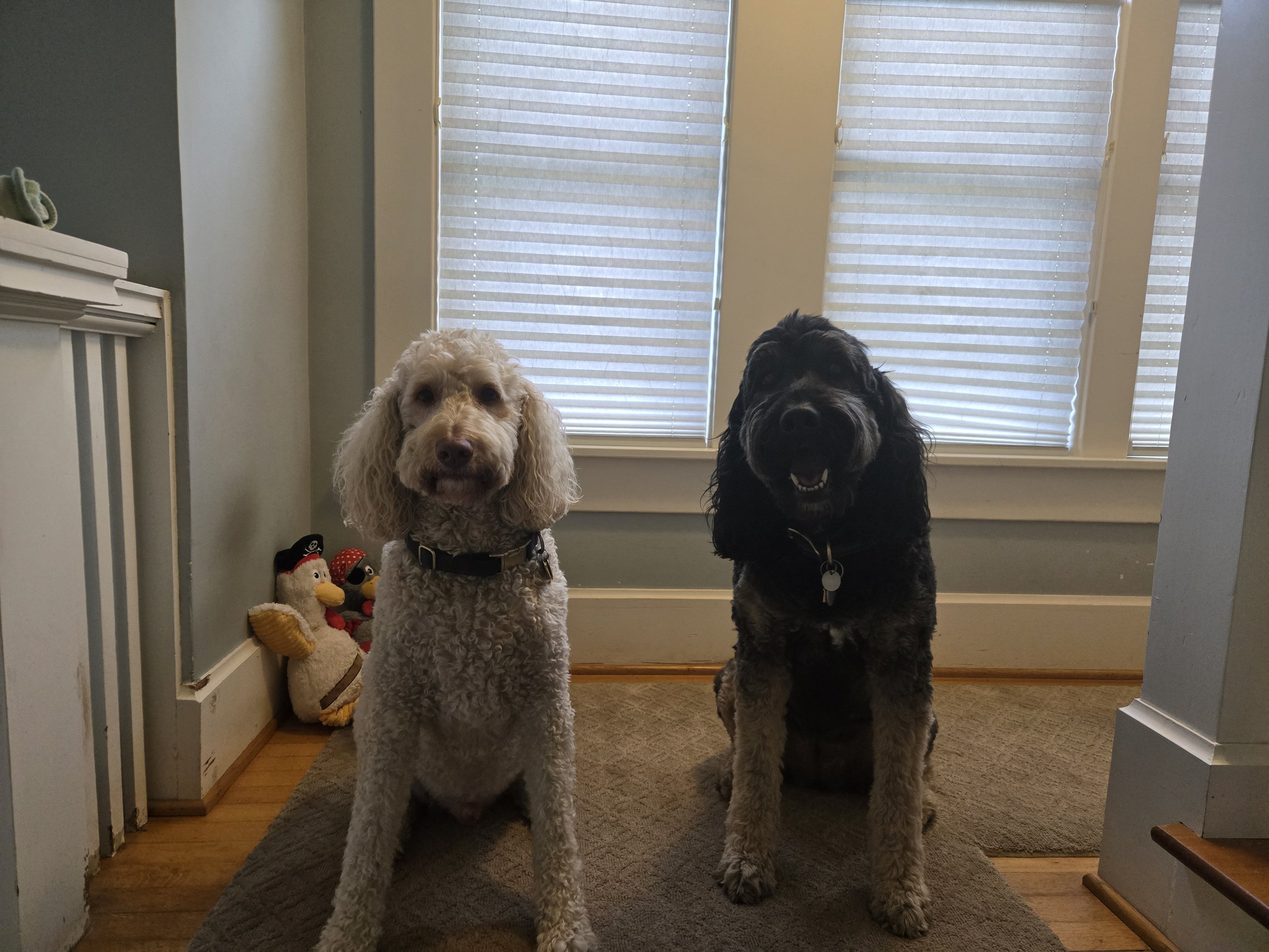 Tallulah and Ziggy smile for the camera