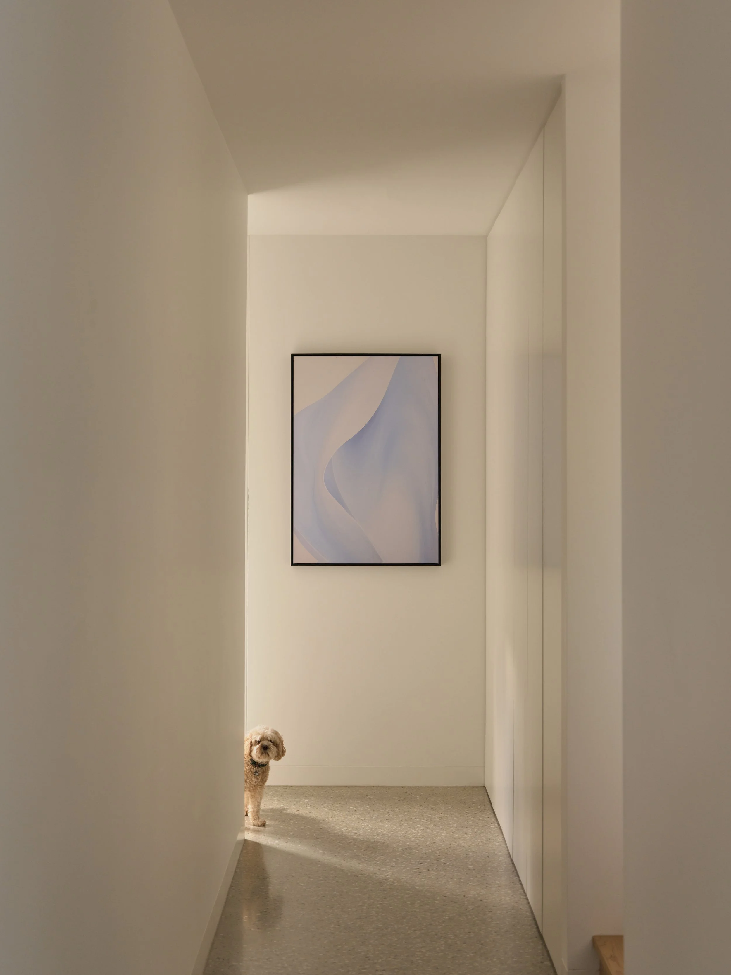 A small dog peeking around a corner in a minimalist, white-walled hallway with an abstract painting on the wall.