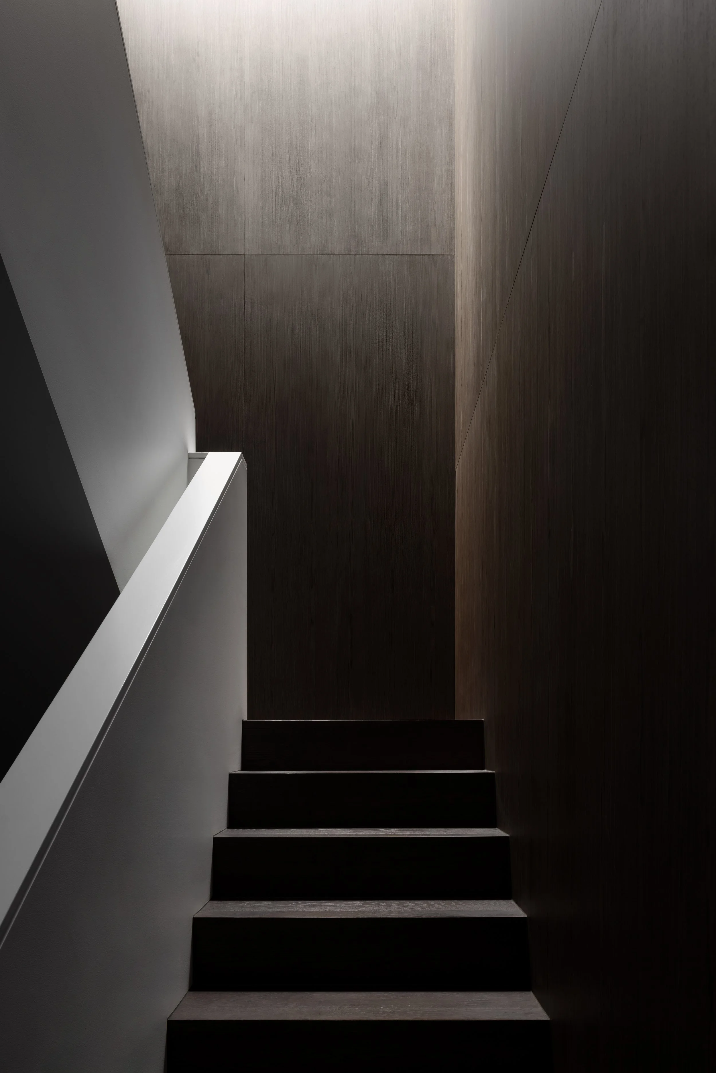 Dark indoor staircase with a light-colored handrail on the left side, leading up towards a wall with dark wood paneling.