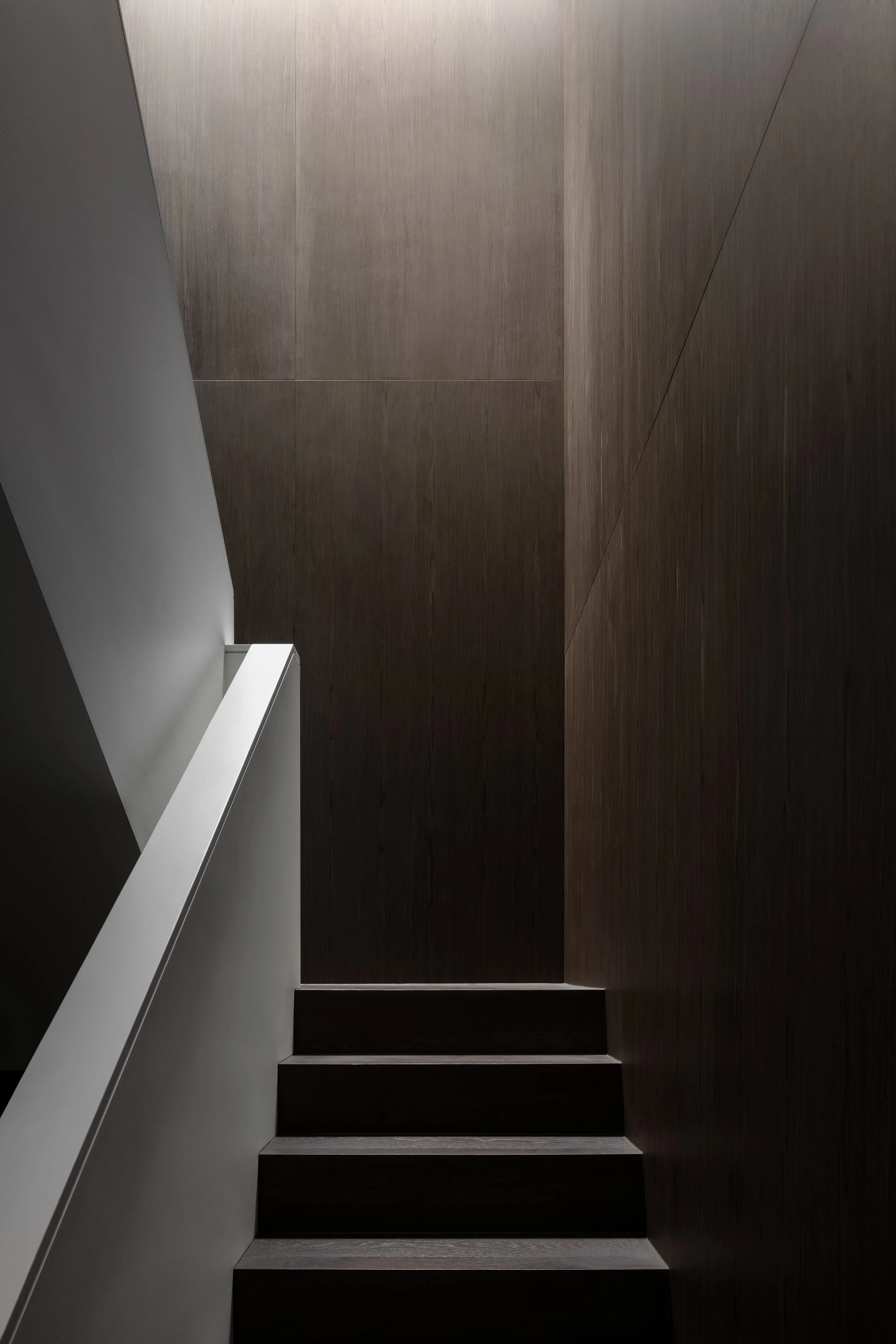 Indoor staircase with dark steps, white wall, and brown wooden-paneled walls.