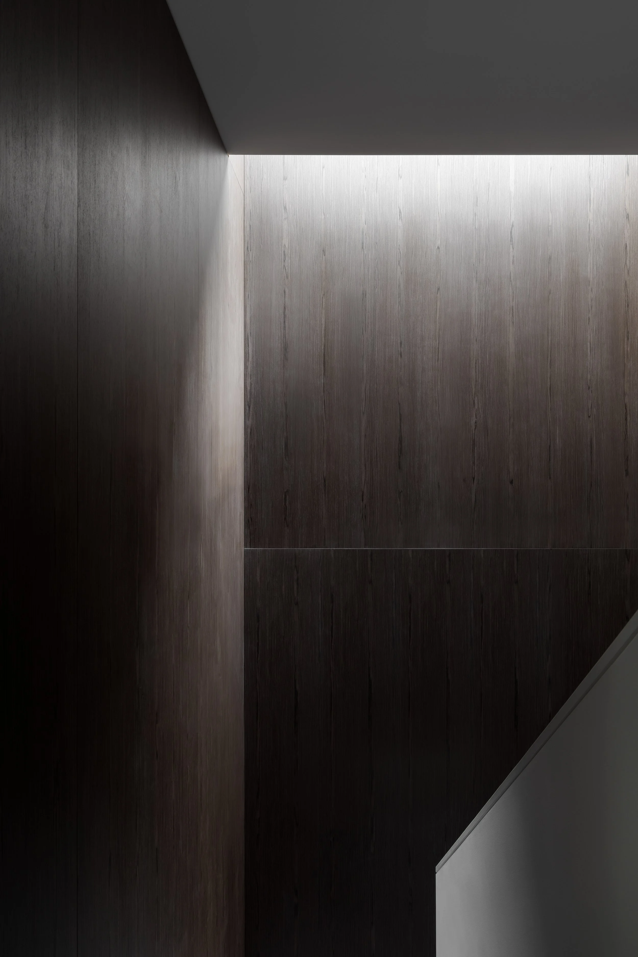 light well above stairs, oak veneer walls, dark walls