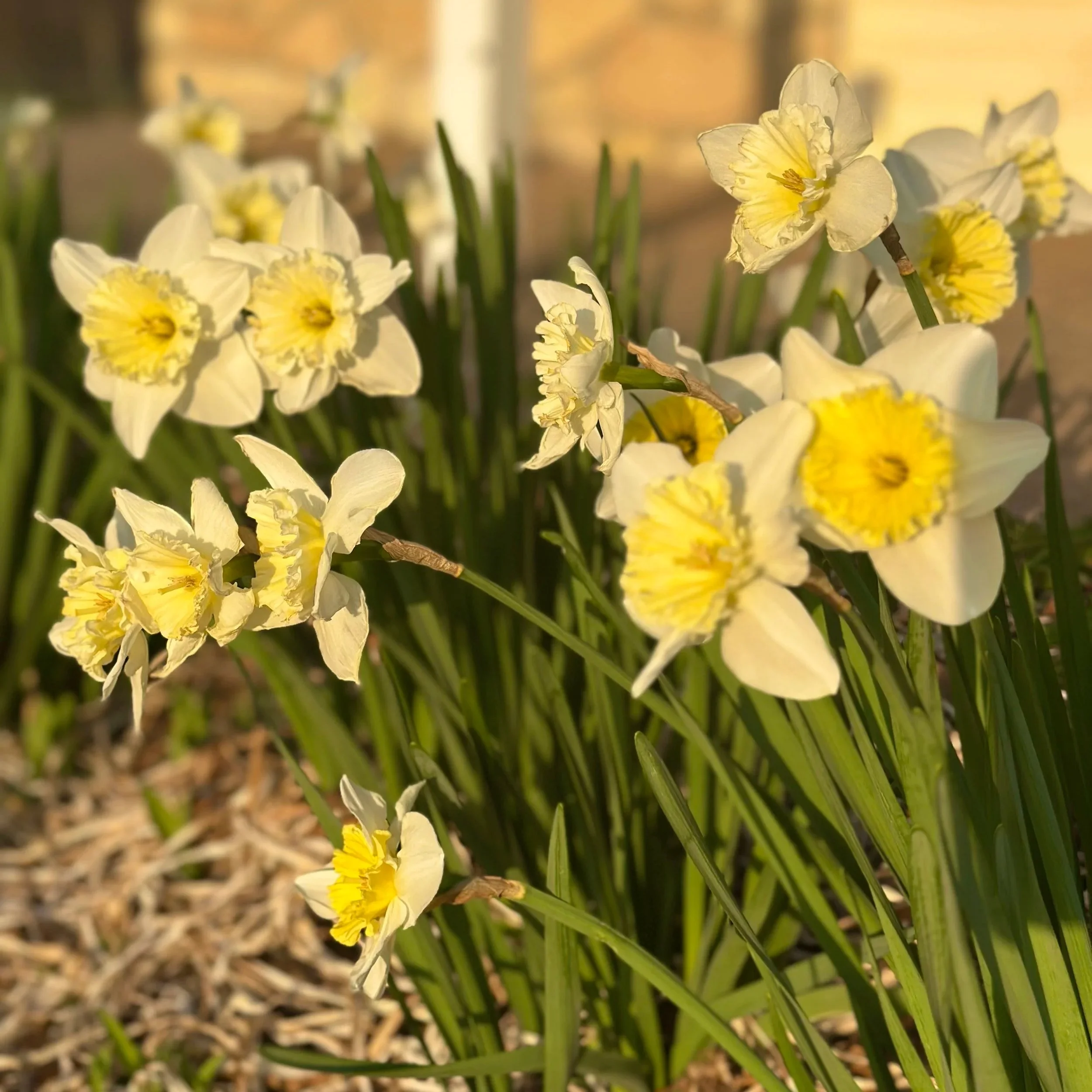 Deep Healing Takes Time