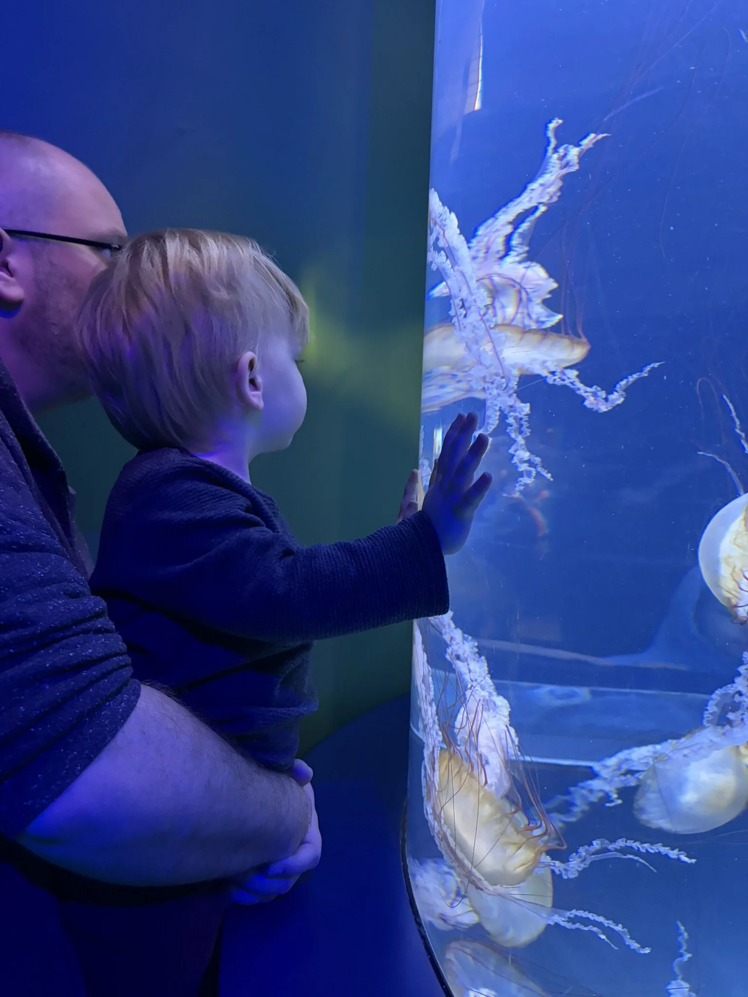 George Archie Aquarium.JPEG