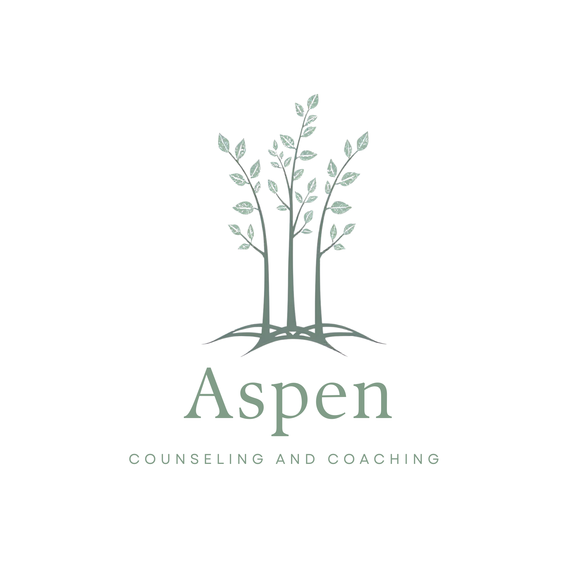 Online therapy in Chicago, Salt Lake City, Utah, Illinois, Naperville, Wheaton, Life Coaching worldwide