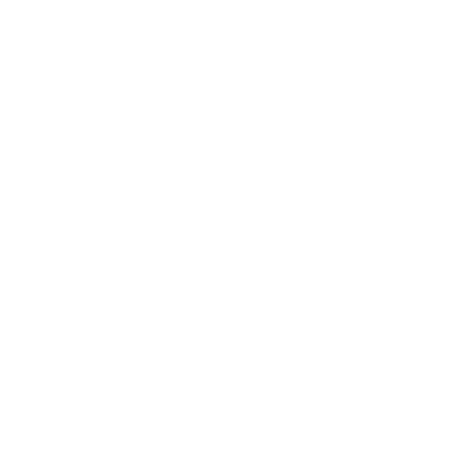 NSF Logo.
