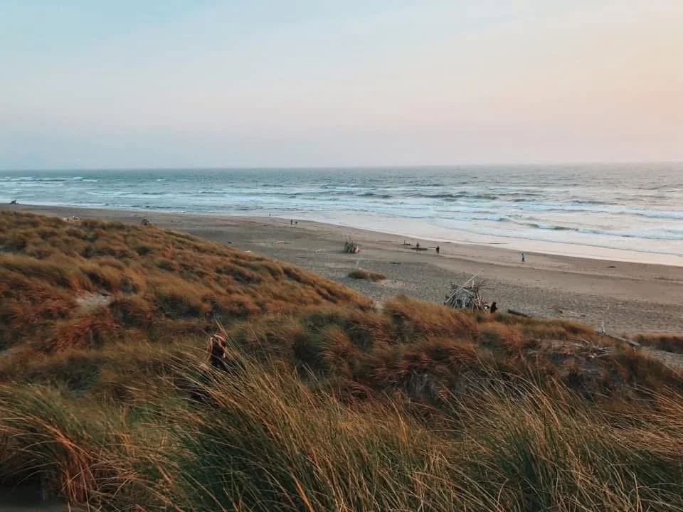 A view of a beach with grassy sand dunes in the foreground, a sandy shoreline, and the ocean in the background at sunset or dusk.