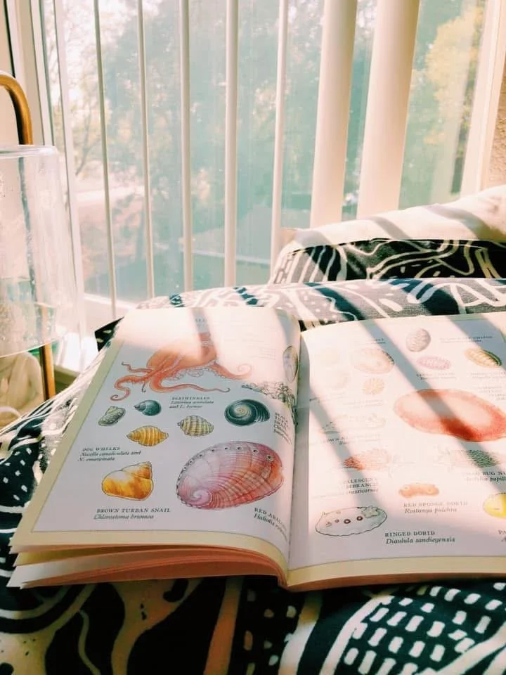 Open book on a bed with patterned black and white sheets, next to a glass of water, in front of a window with vertical blinds showing trees outside.