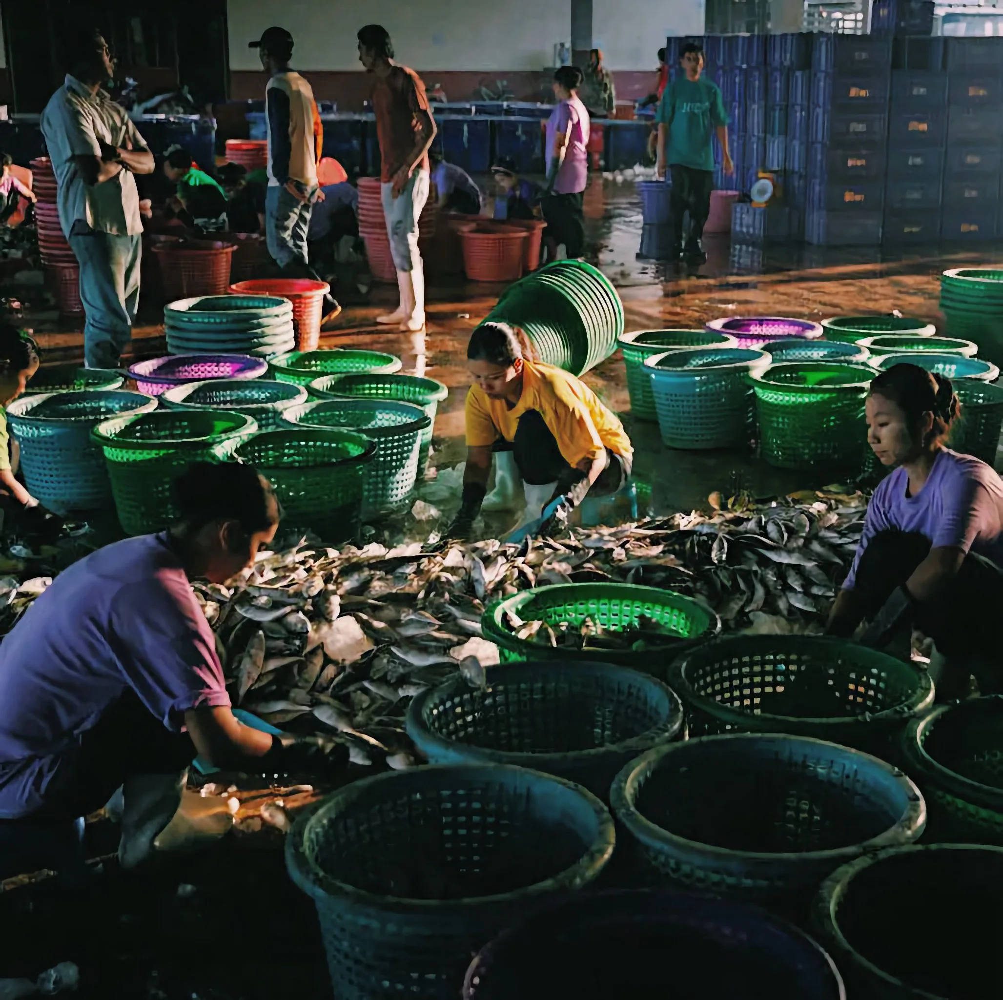 Political Review: "Slavery in Thailand’s Fishing Industry" &nbsp;