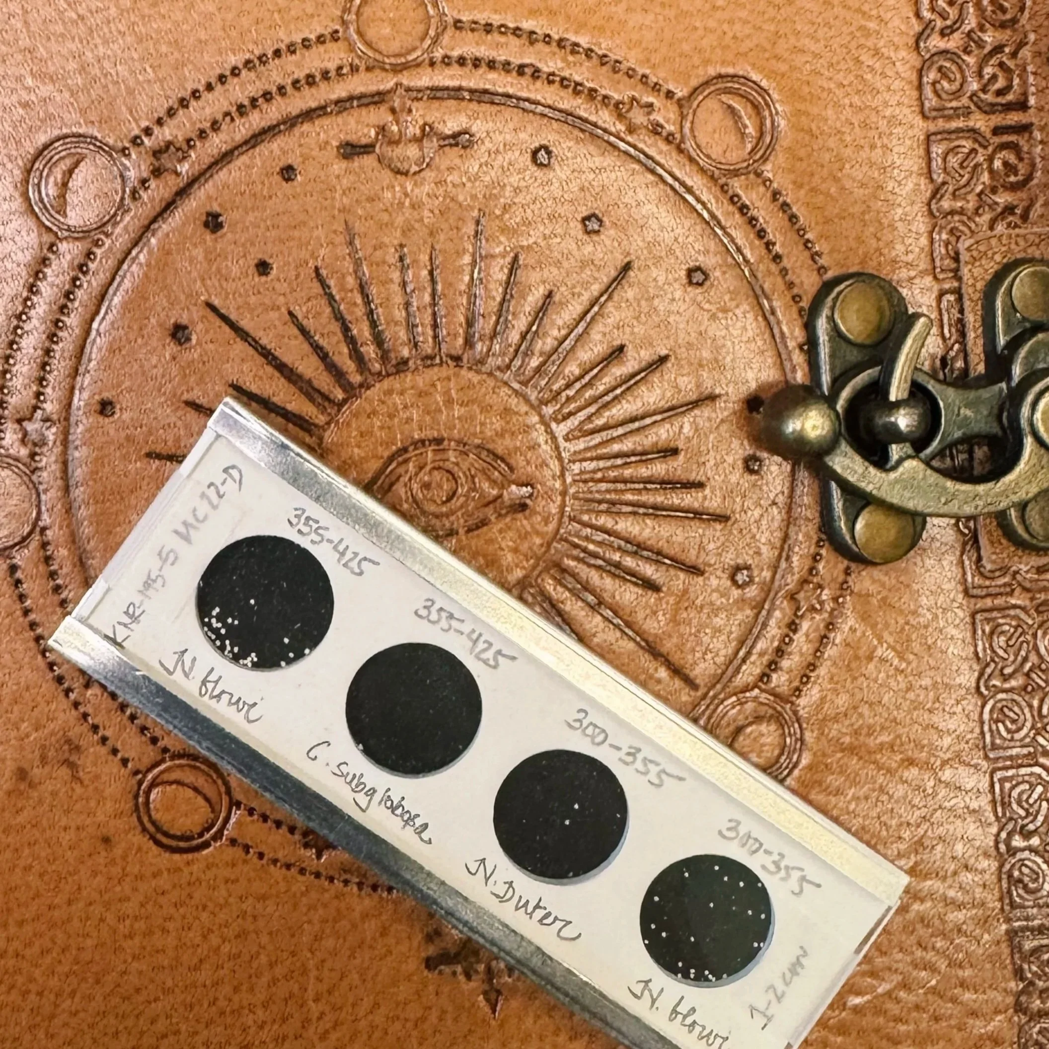 Foraminifera sample slide on a field notebook, prepared microfossil samples for paleoclimate analysis.