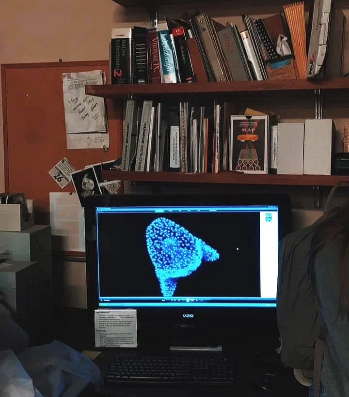 Lab office desk with computer monitor showing a blue 3D urchin larvae scan, bookshelves in background.