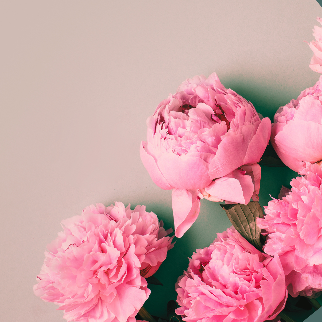 Month/Day of Coordination