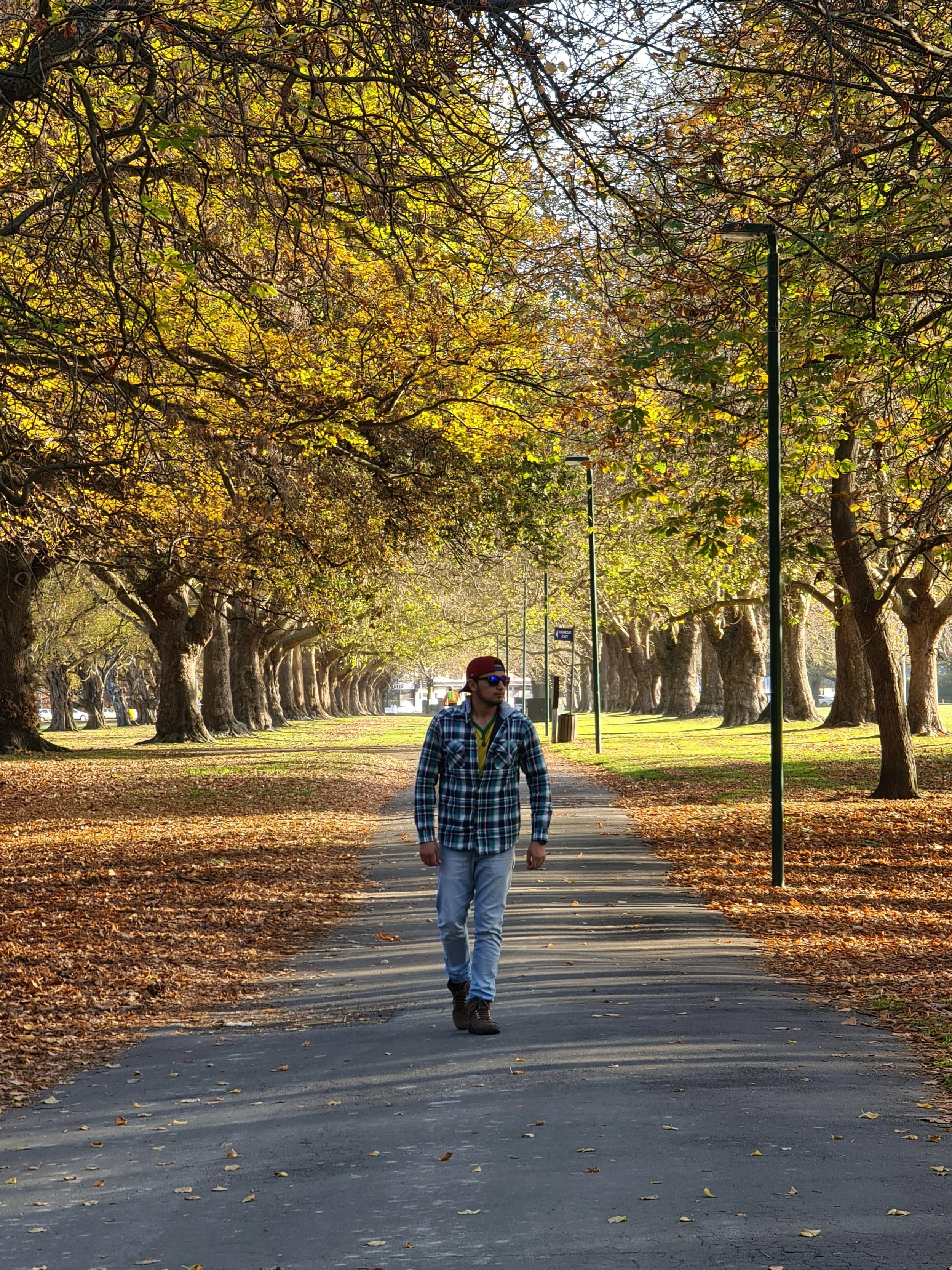 A man walking on a pathway under trees with yellow and green leaves during autumn, with street lamps lining the path.