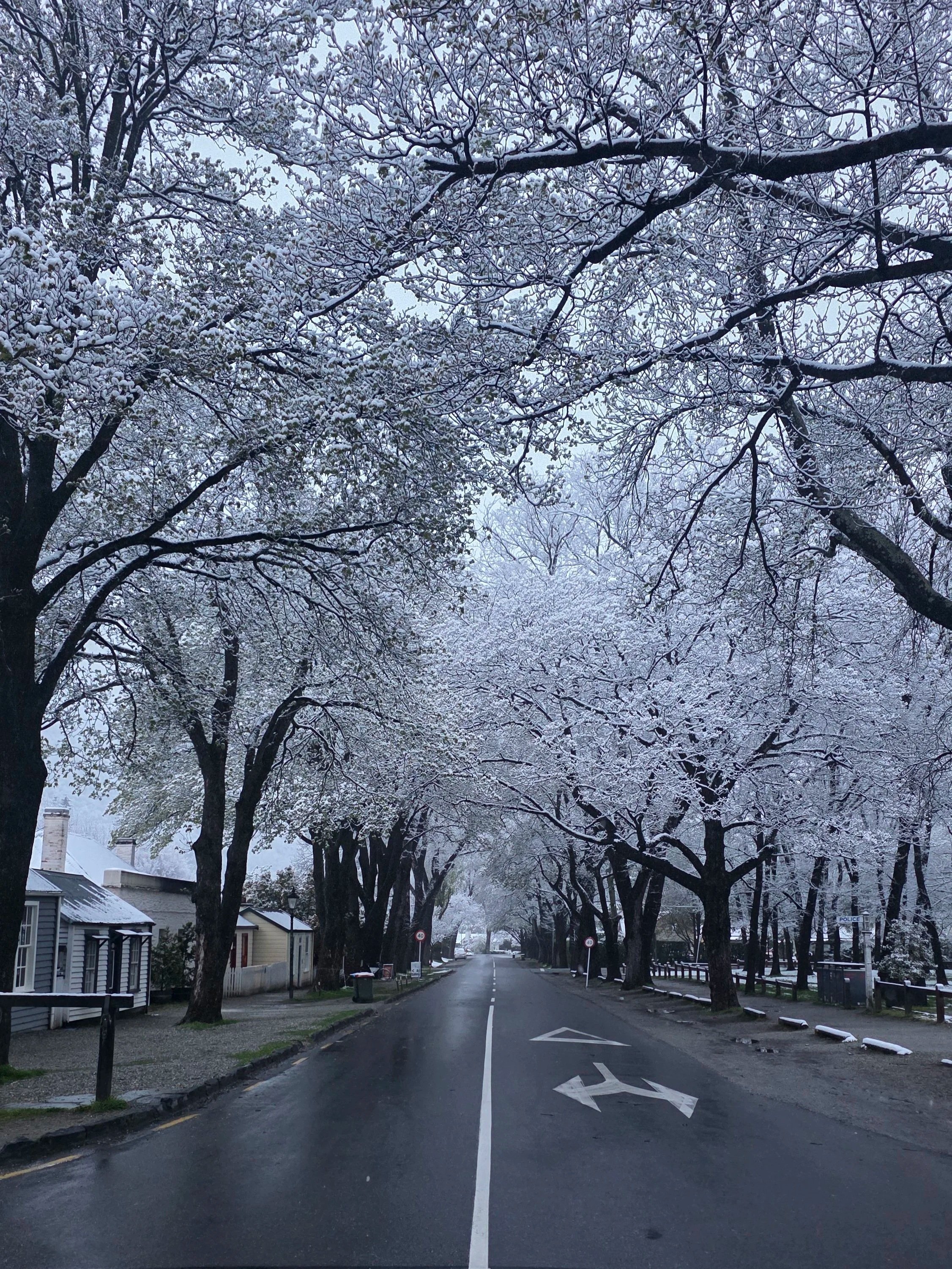 A street scene in a small town during winter with snow-covered trees and buildings. The road is wet with traffic markings and the sky is cloudy.