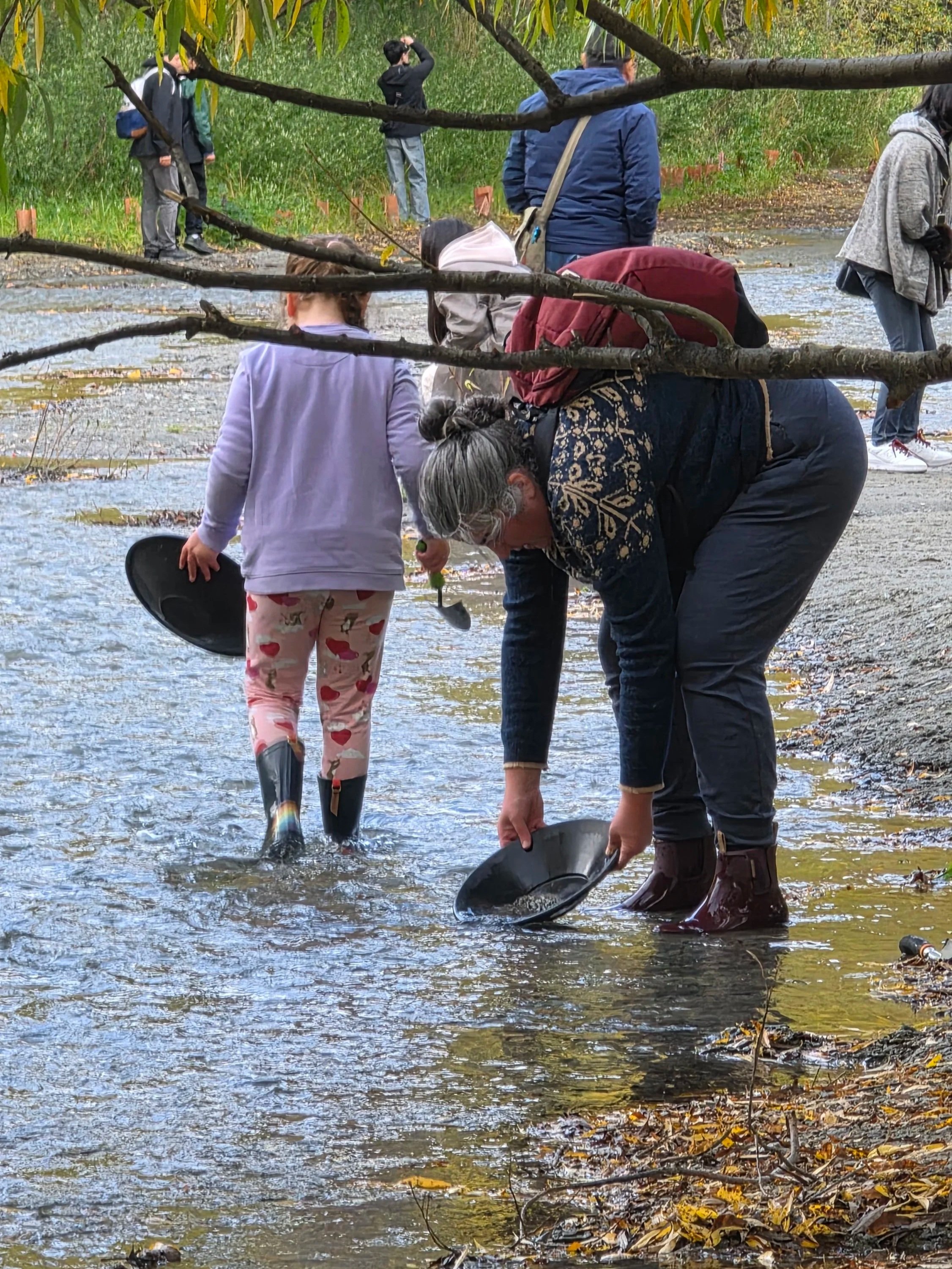 People standing and wading in a shallow creek or river surrounded by greenery and fallen autumn leaves, with some wearing waterproof boots and holding tools or buckets, possibly participating in a water-based activity or cleanup.
