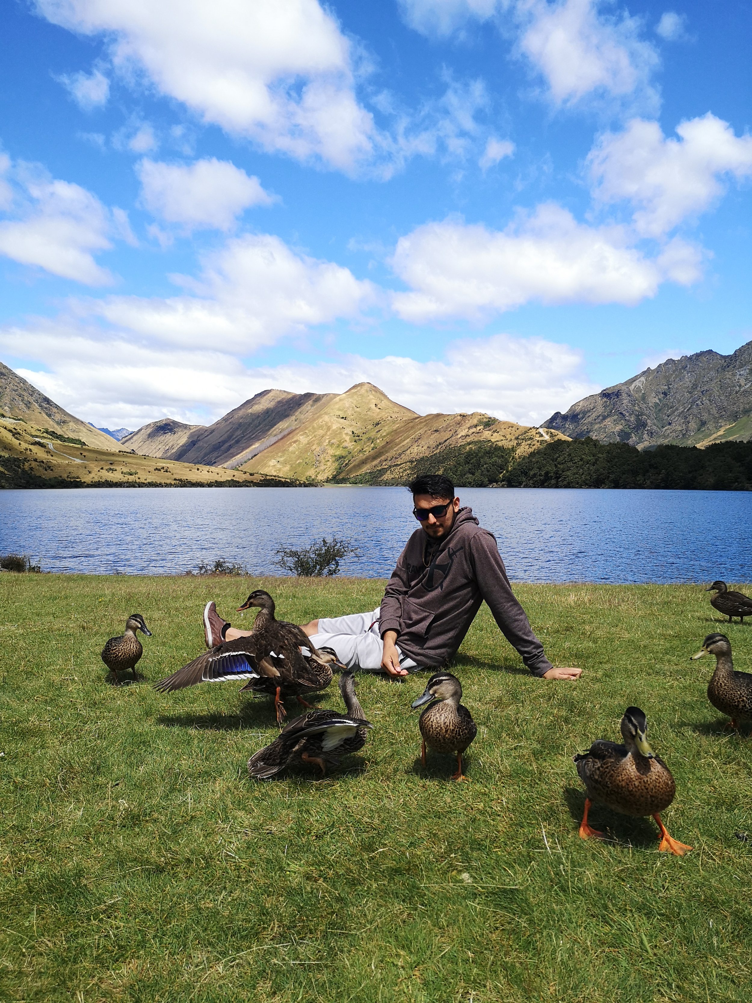 Person sitting on grass by lake, surrounded by ducks, with mountains and blue sky with clouds in the background.