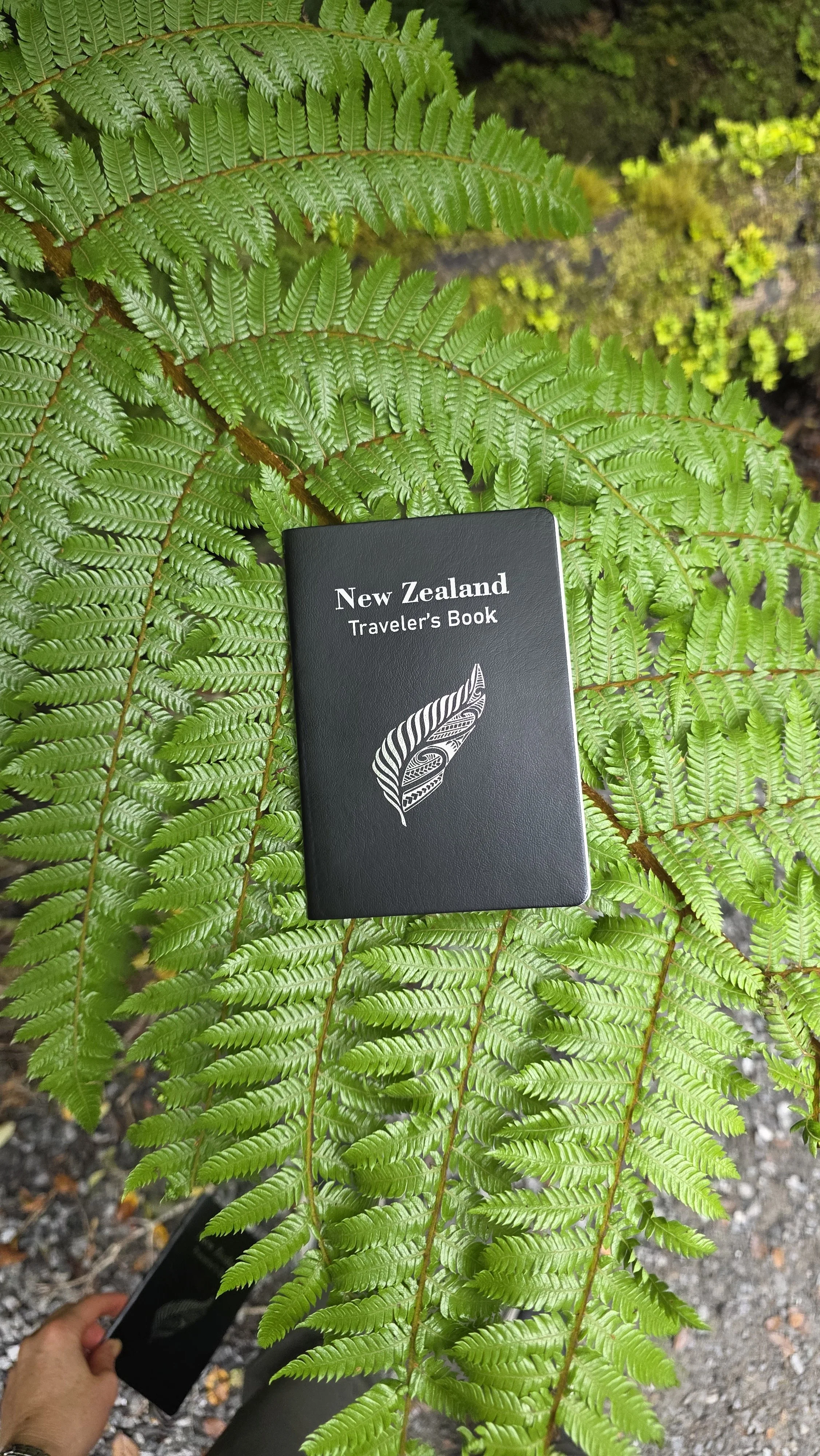 20260114_133533.jpg